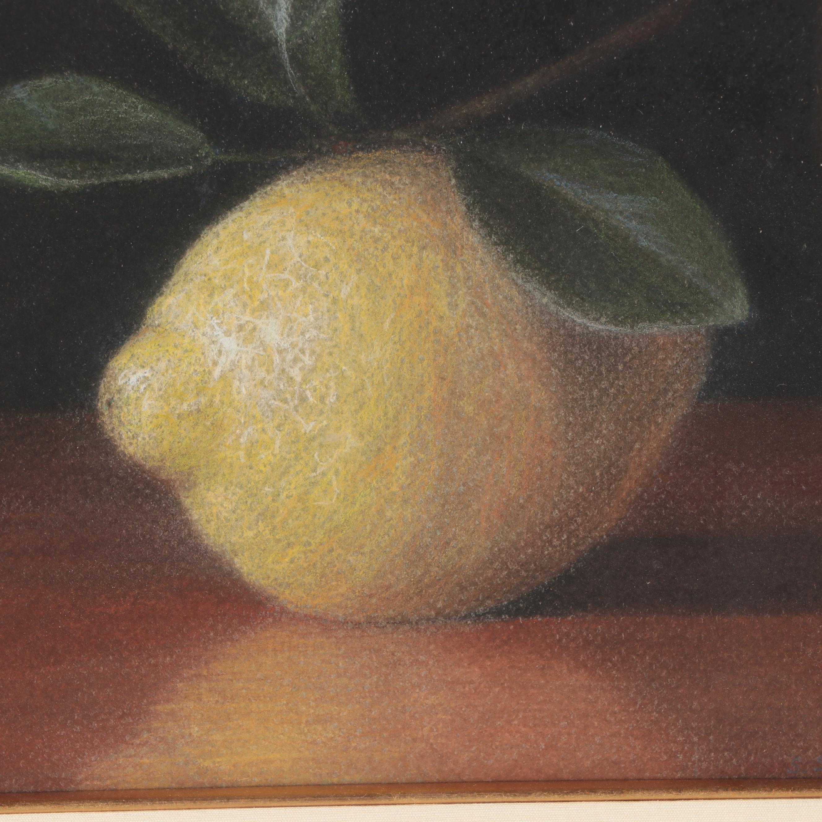 Sally Schrohenloher Photorealist Still Life Pastel Drawing