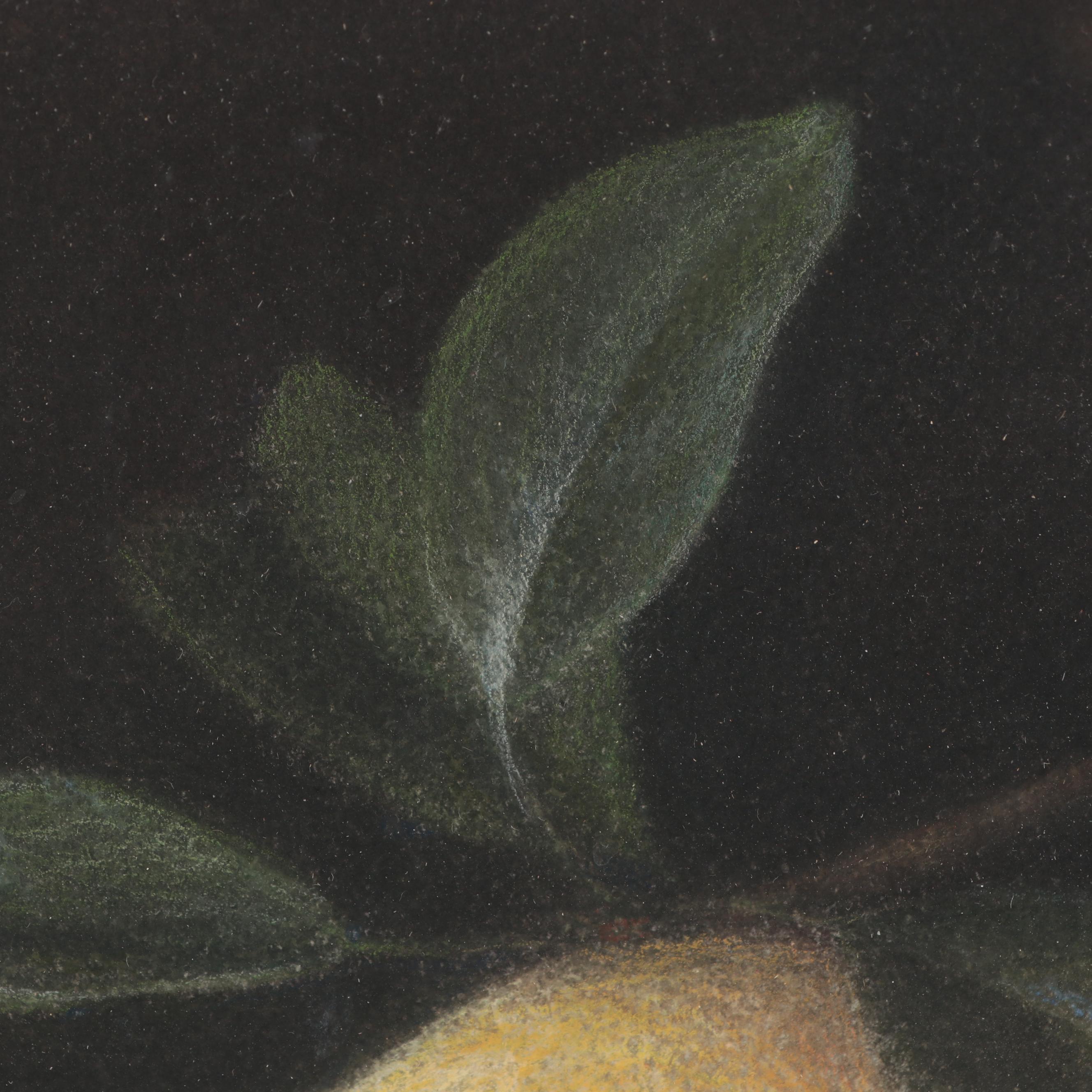 Sally Schrohenloher Photorealist Still Life Pastel Drawing