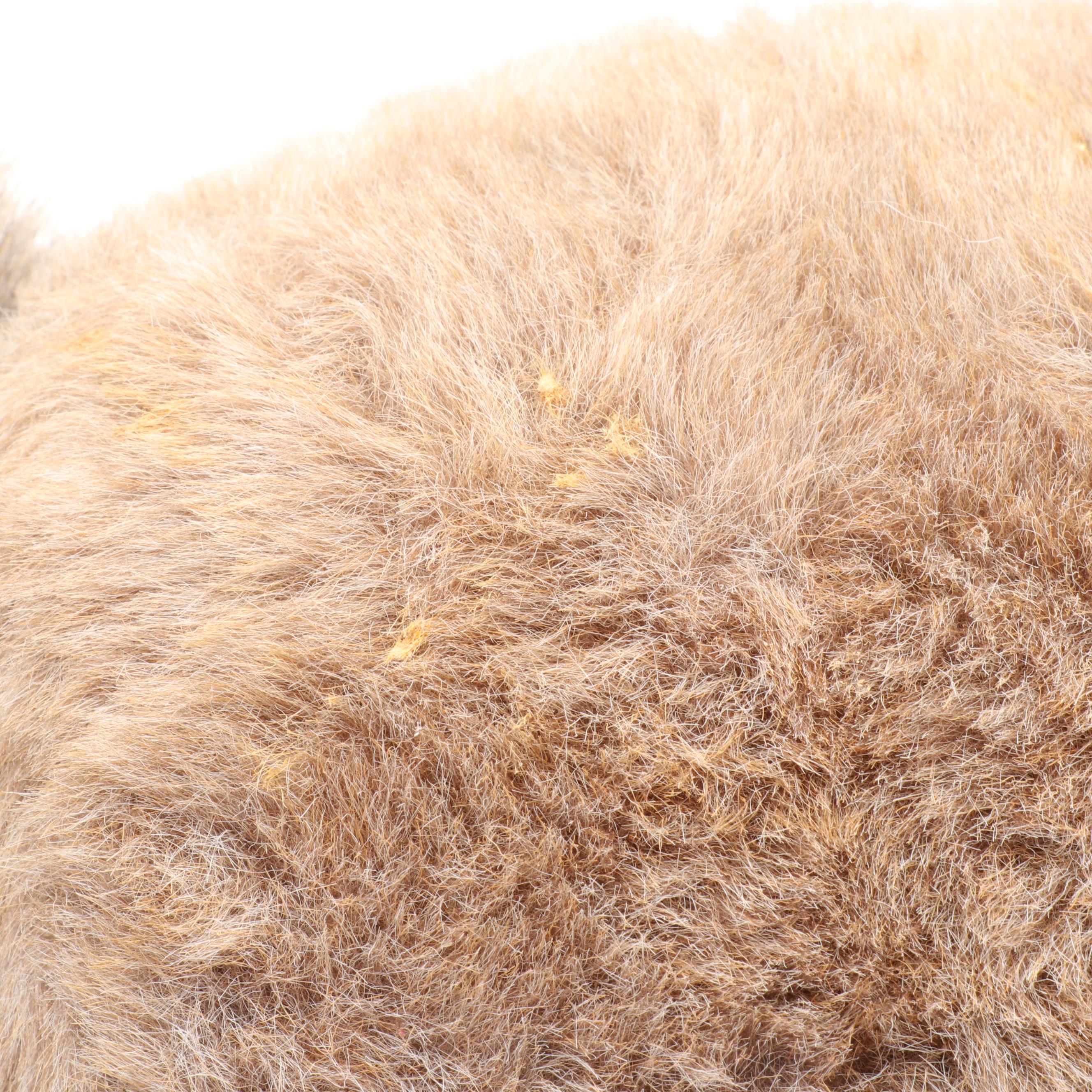 Beverly Port, Nisbet and Other Jointed Teddy Bears with Dakin Stuffed Koala