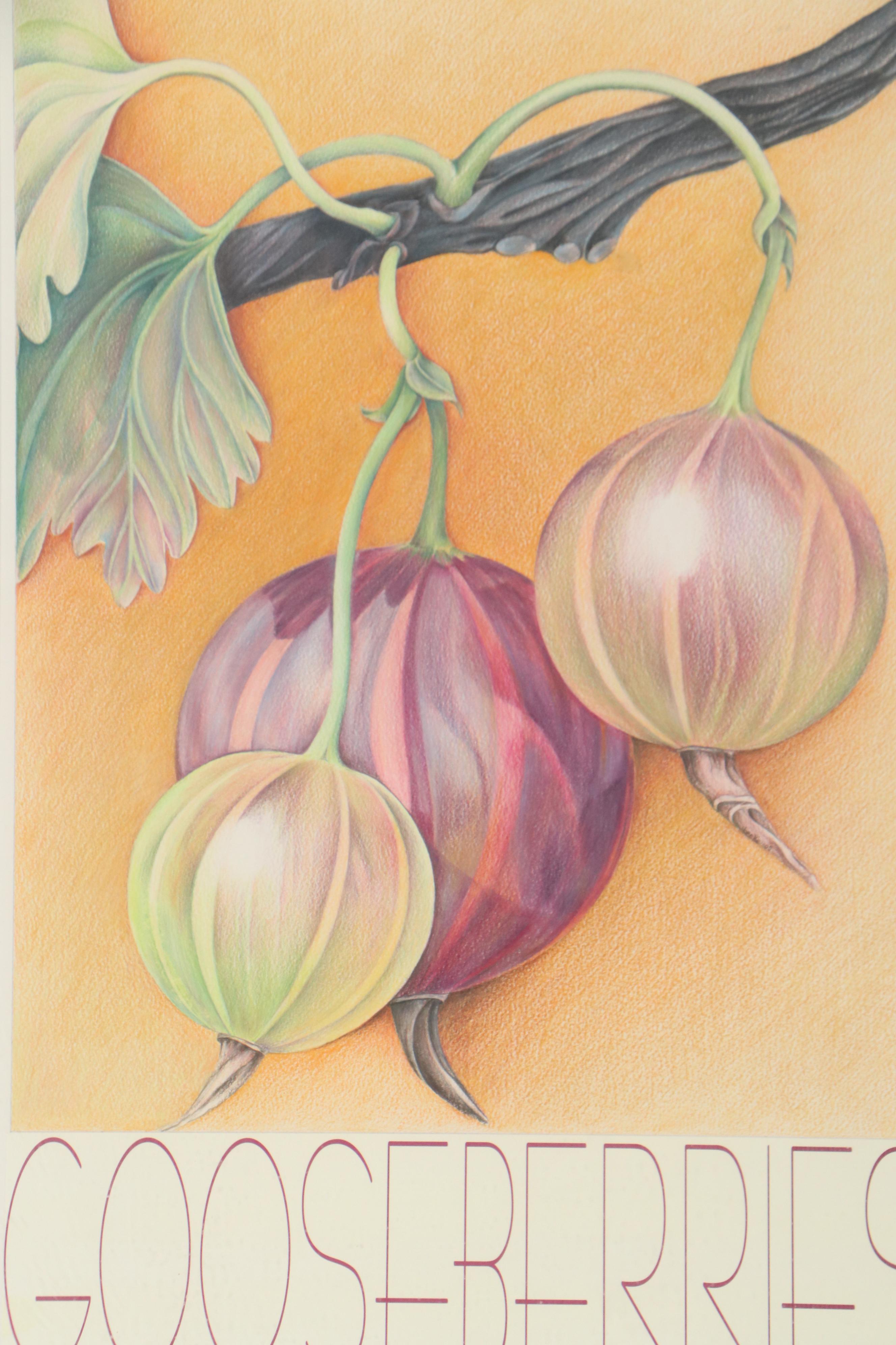 Becki Bolton Blackburn Pastel Drawing "Gooseberries," Late 20th Century