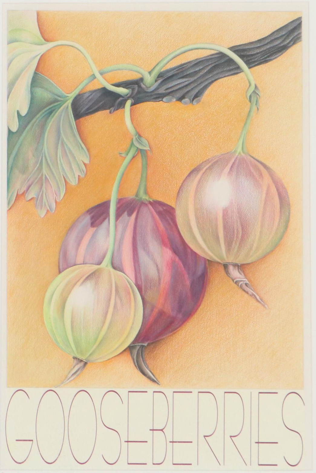 Becki Bolton Blackburn Pastel Drawing "Gooseberries," Late 20th Century