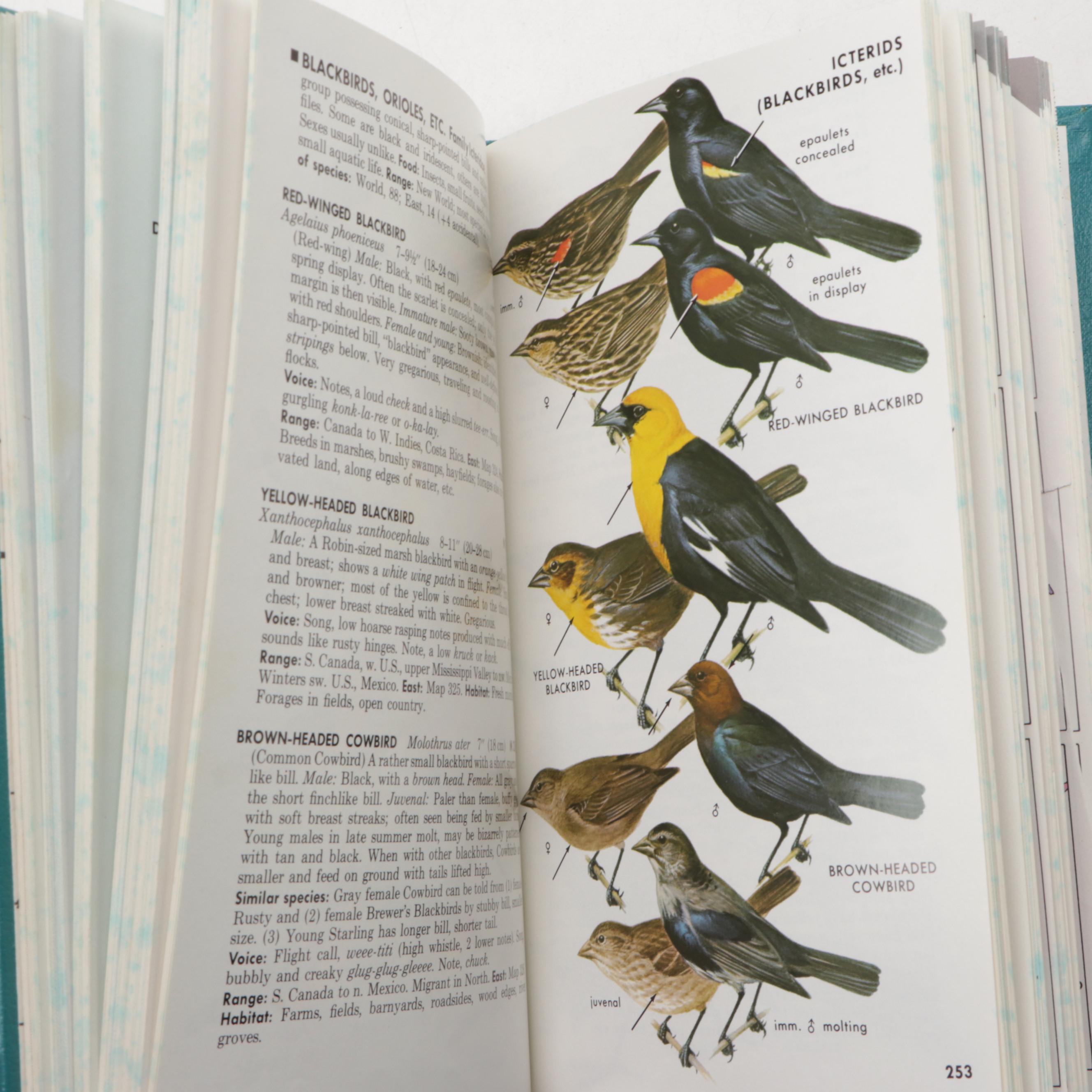 Limited Fourth Edition "A Field Guide to the Birds" by Roger Tory Peterson