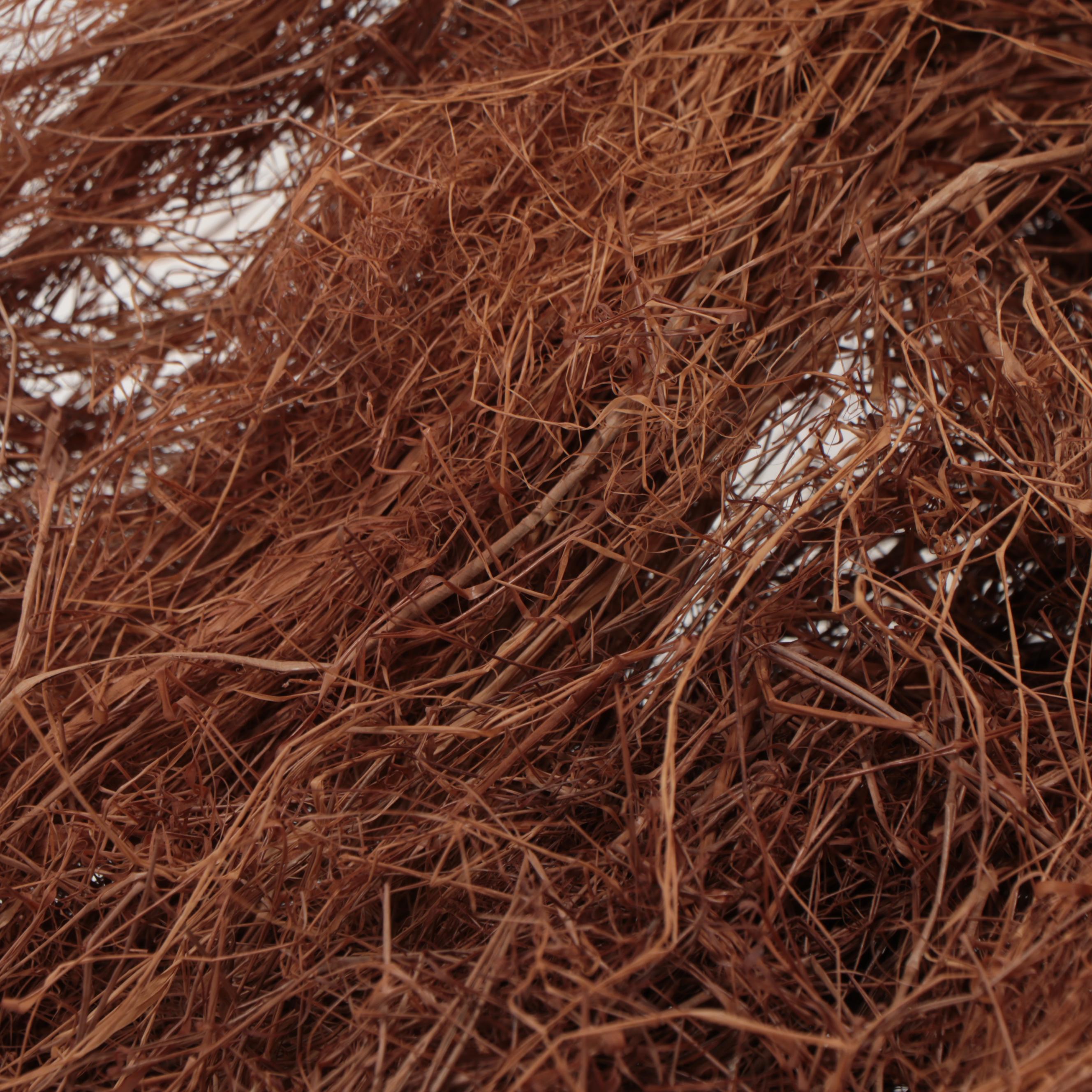 Fang Style Carved Wood Mask With Raffia Collar, Central Africa