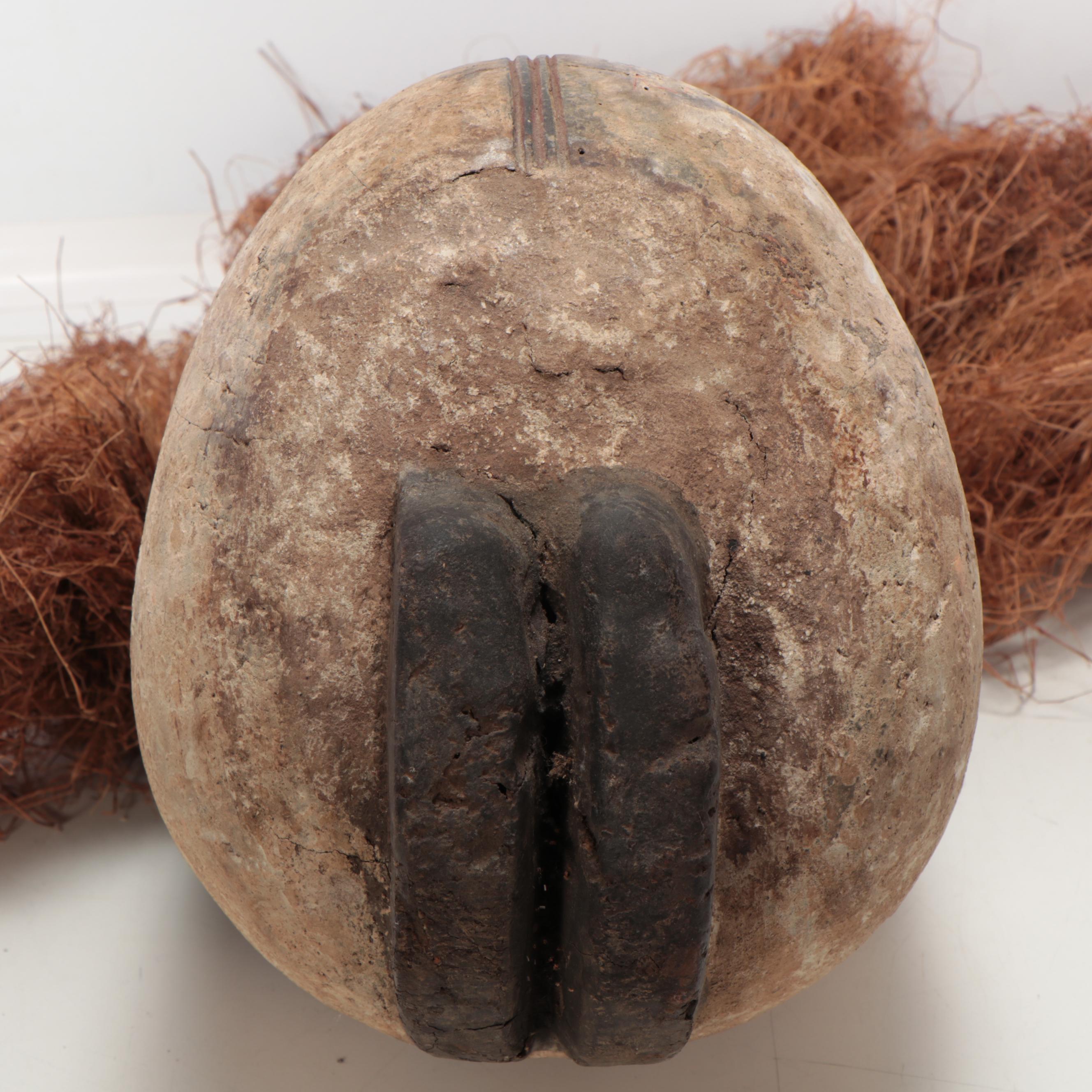 Fang Style Carved Wood Mask With Raffia Collar, Central Africa