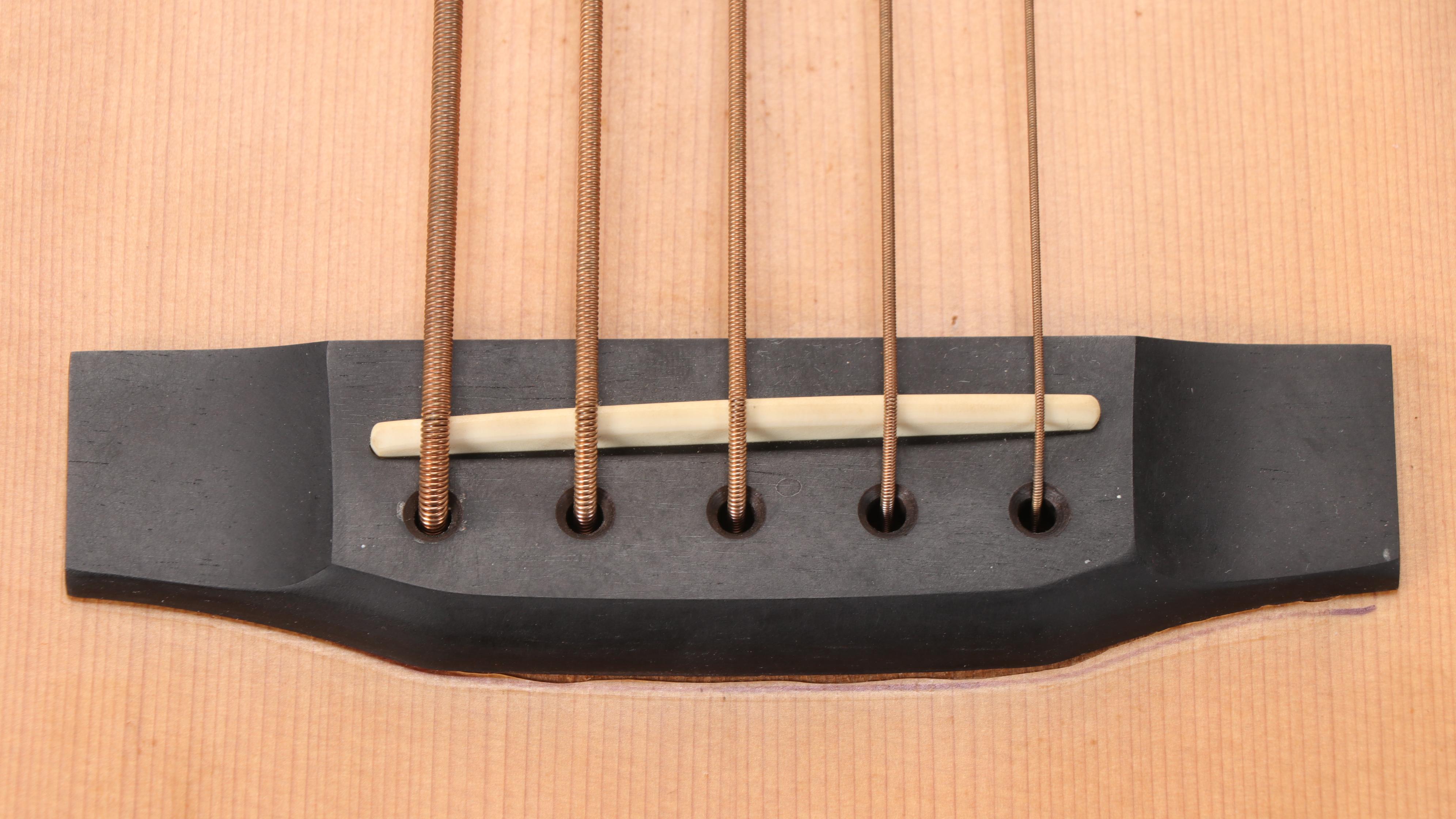 Carvin 5-String Electric Bass Guitar with Soft Case