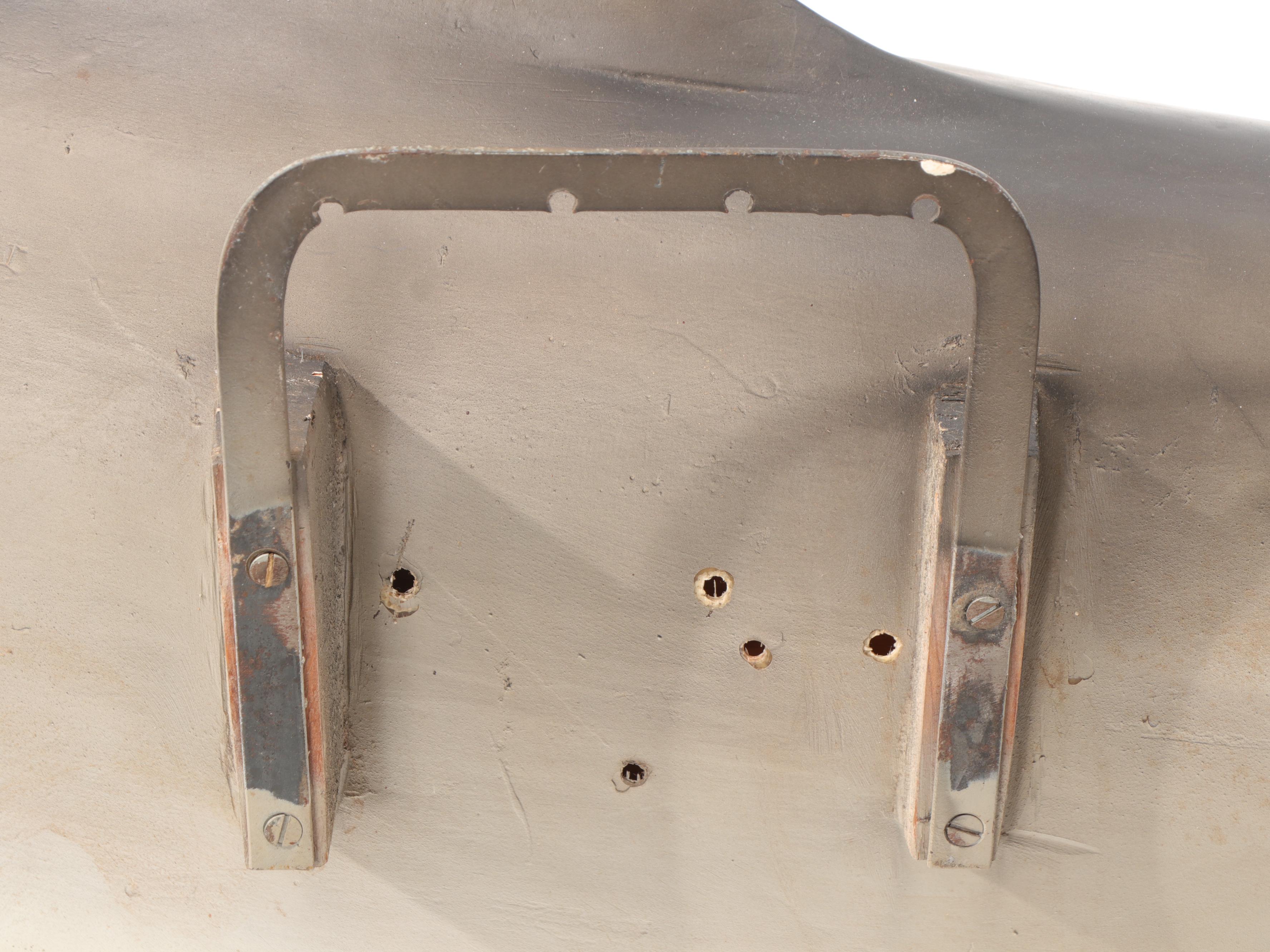 Hammerhead Shark Taxidermy Mount