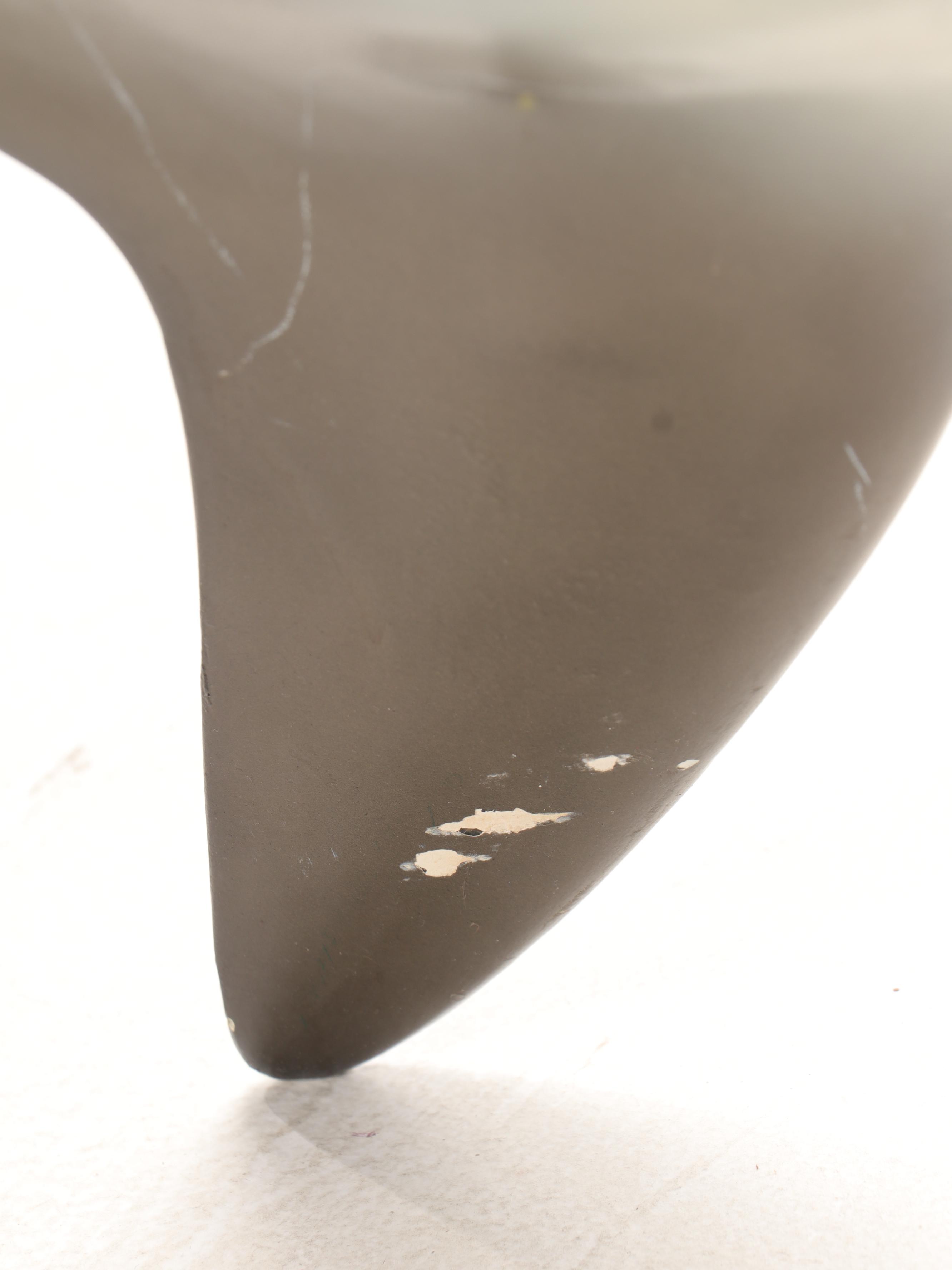 Hammerhead Shark Taxidermy Mount