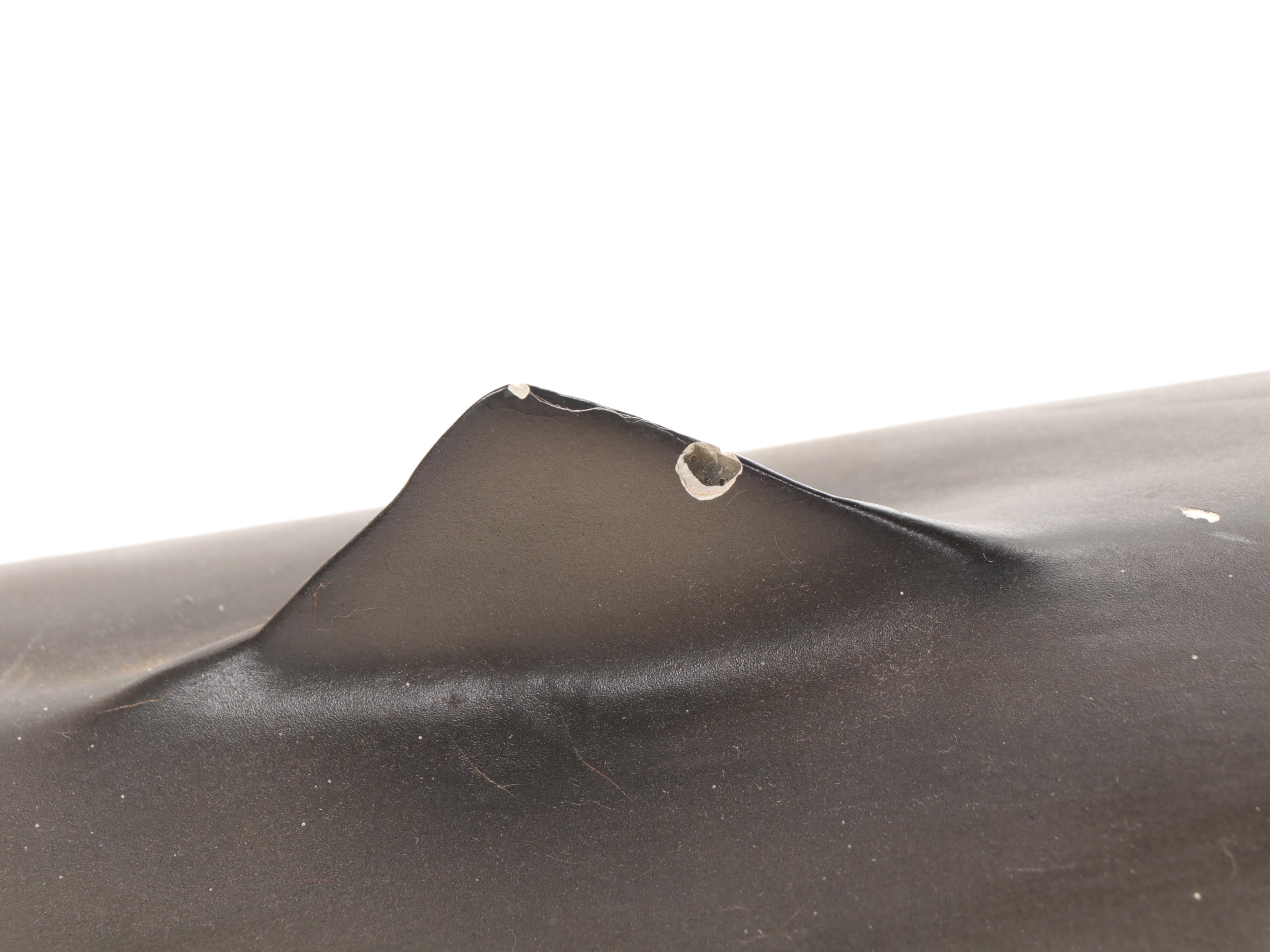 Hammerhead Shark Taxidermy Mount