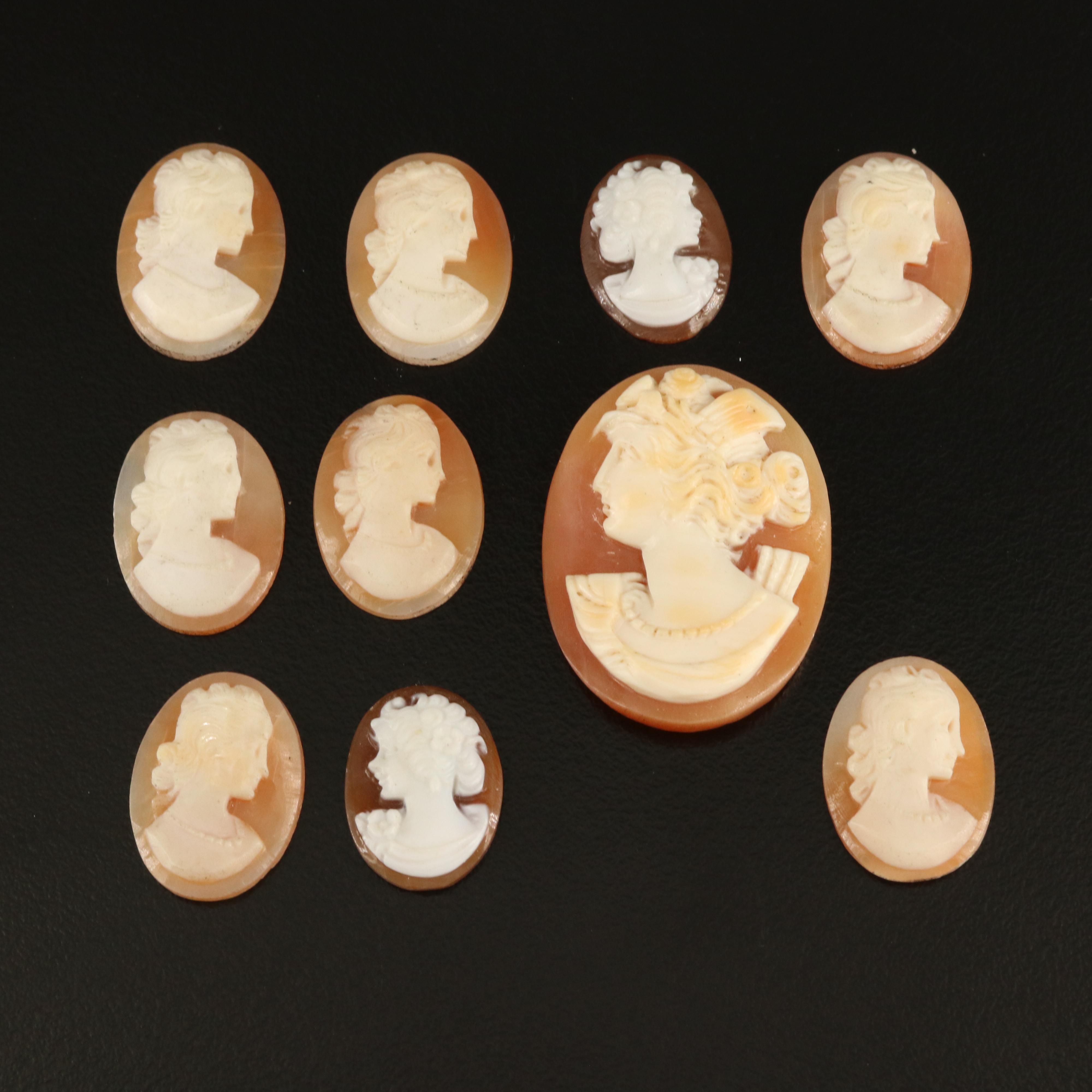 Loose Oval Shell Cameo