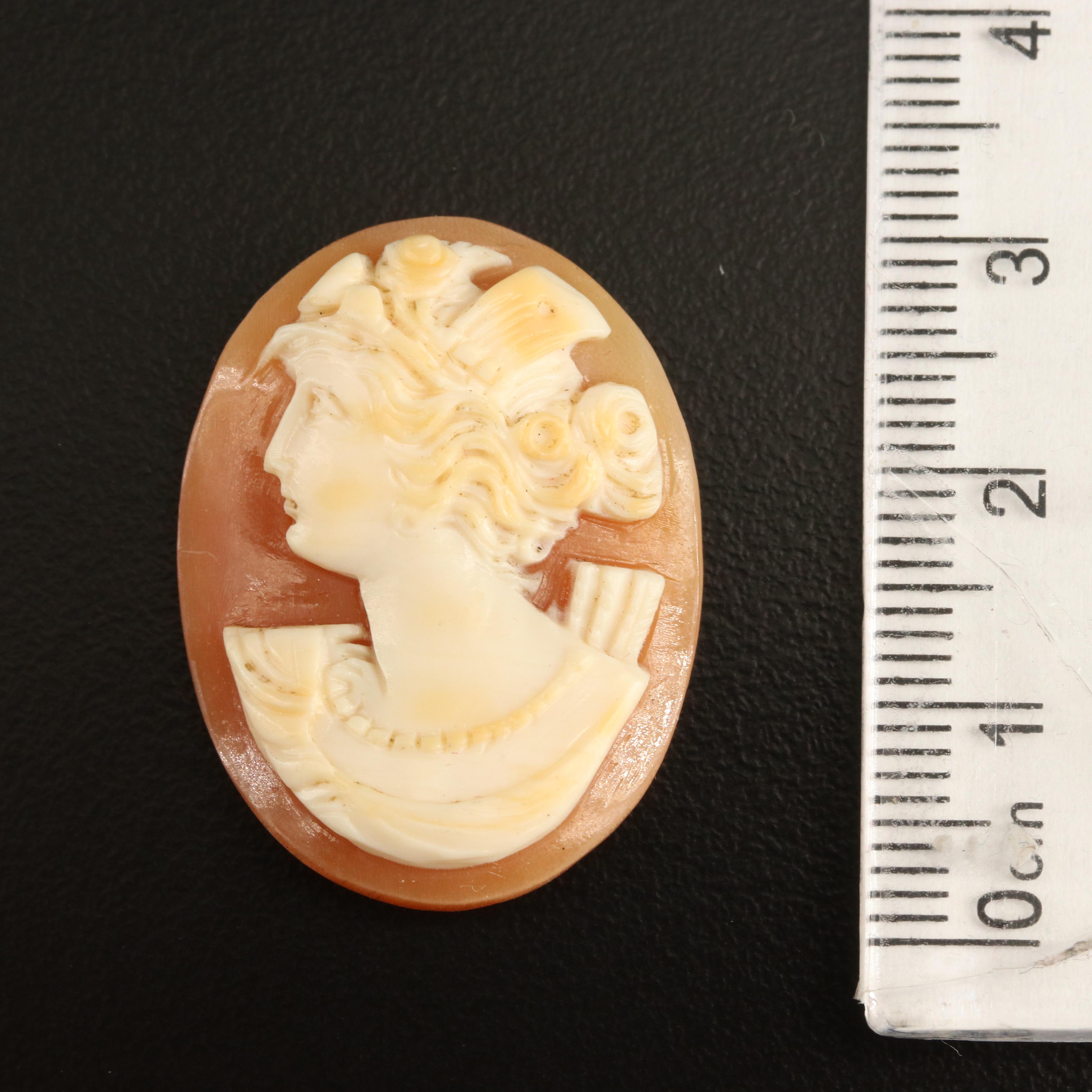 Loose Oval Shell Cameo