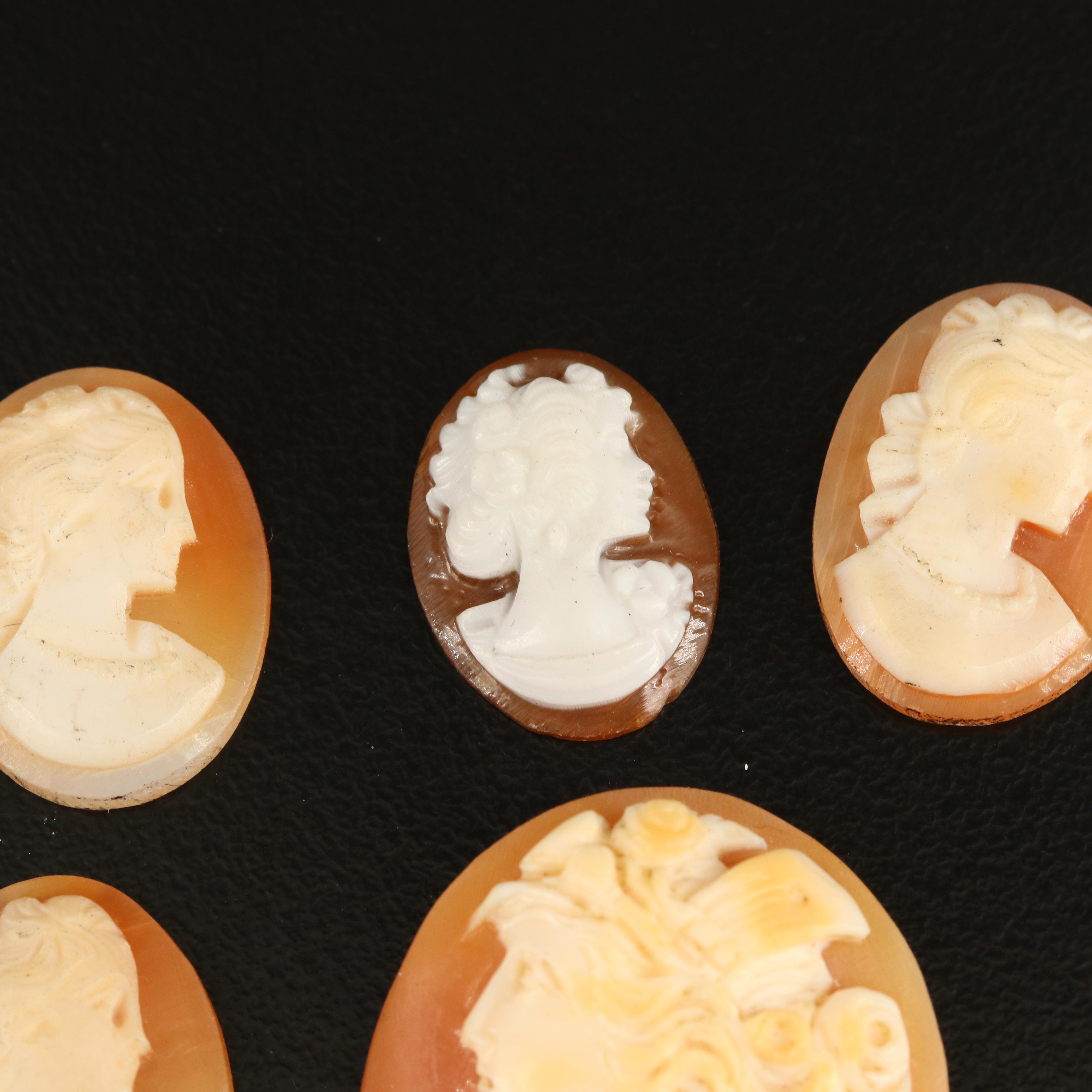 Loose Oval Shell Cameo