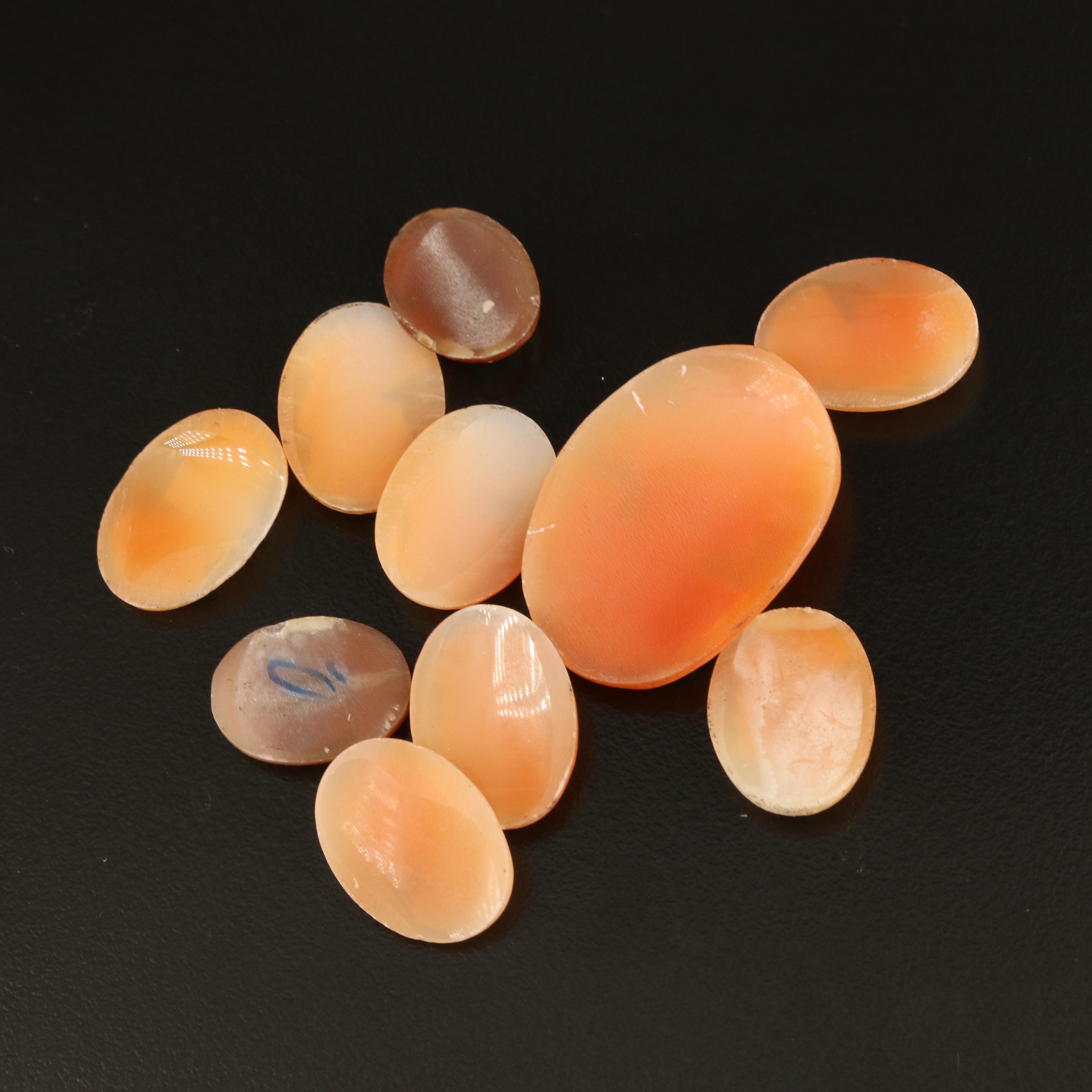 Loose Oval Shell Cameo