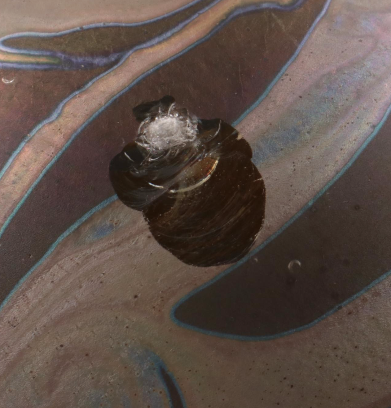 Jim McClure Iridescent Glass Paperweight with Other Glass and Stone Paperweights