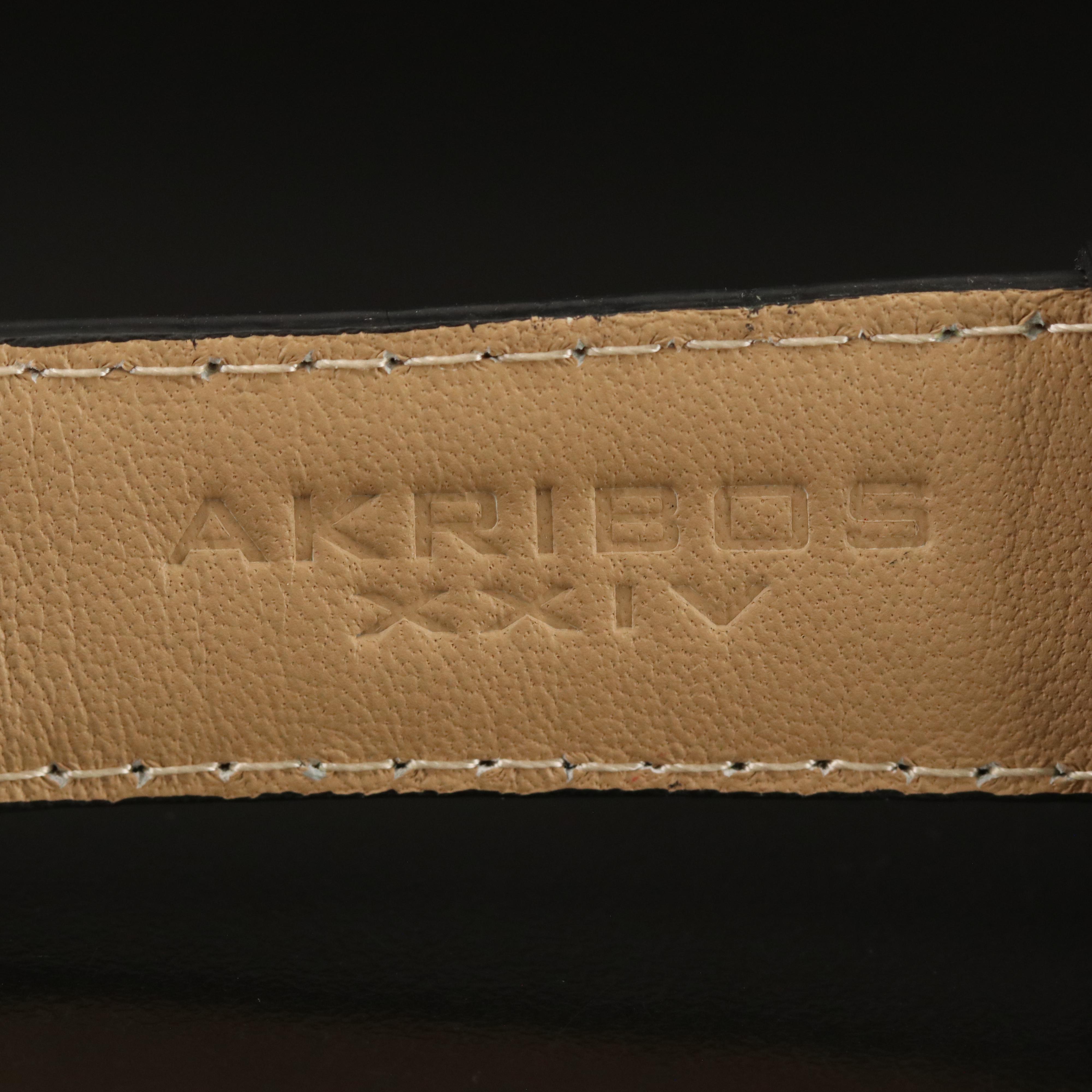 Akribos XXIV Complication Stainless Steel Watch