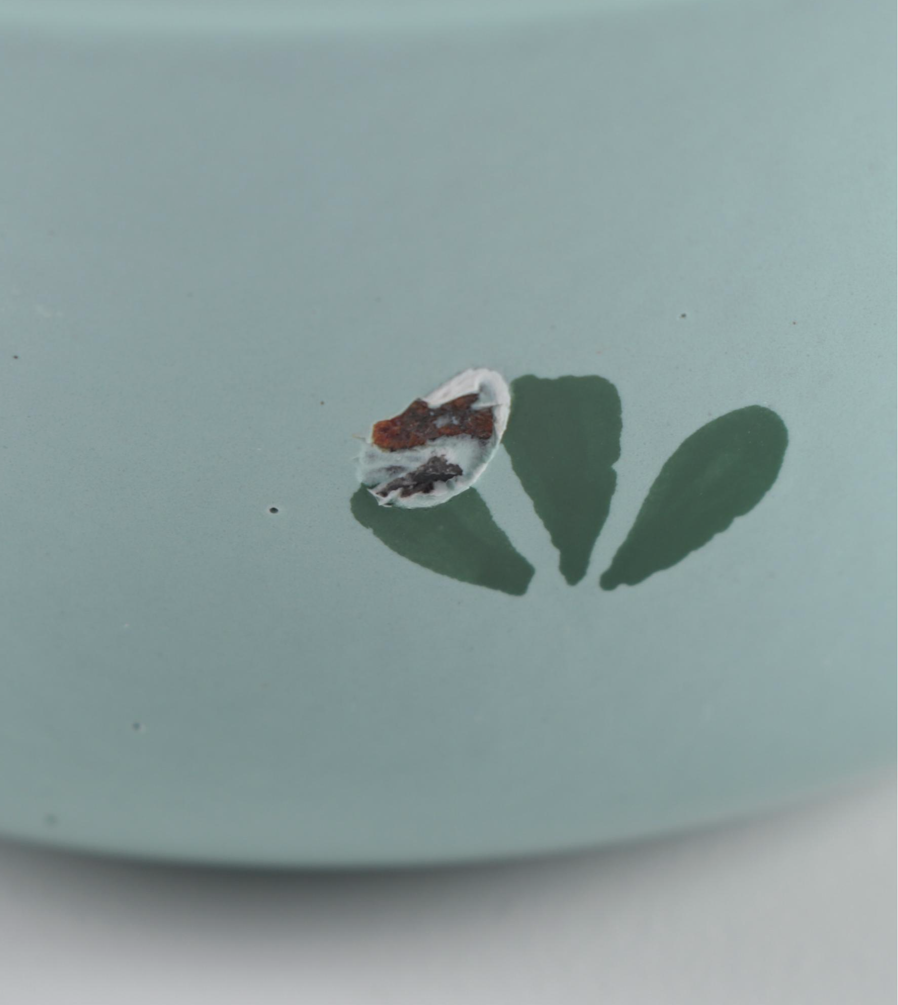 Dru of Holland Tulip Decorated Enameled Cast Iron Bakeware, Mid-20th Century