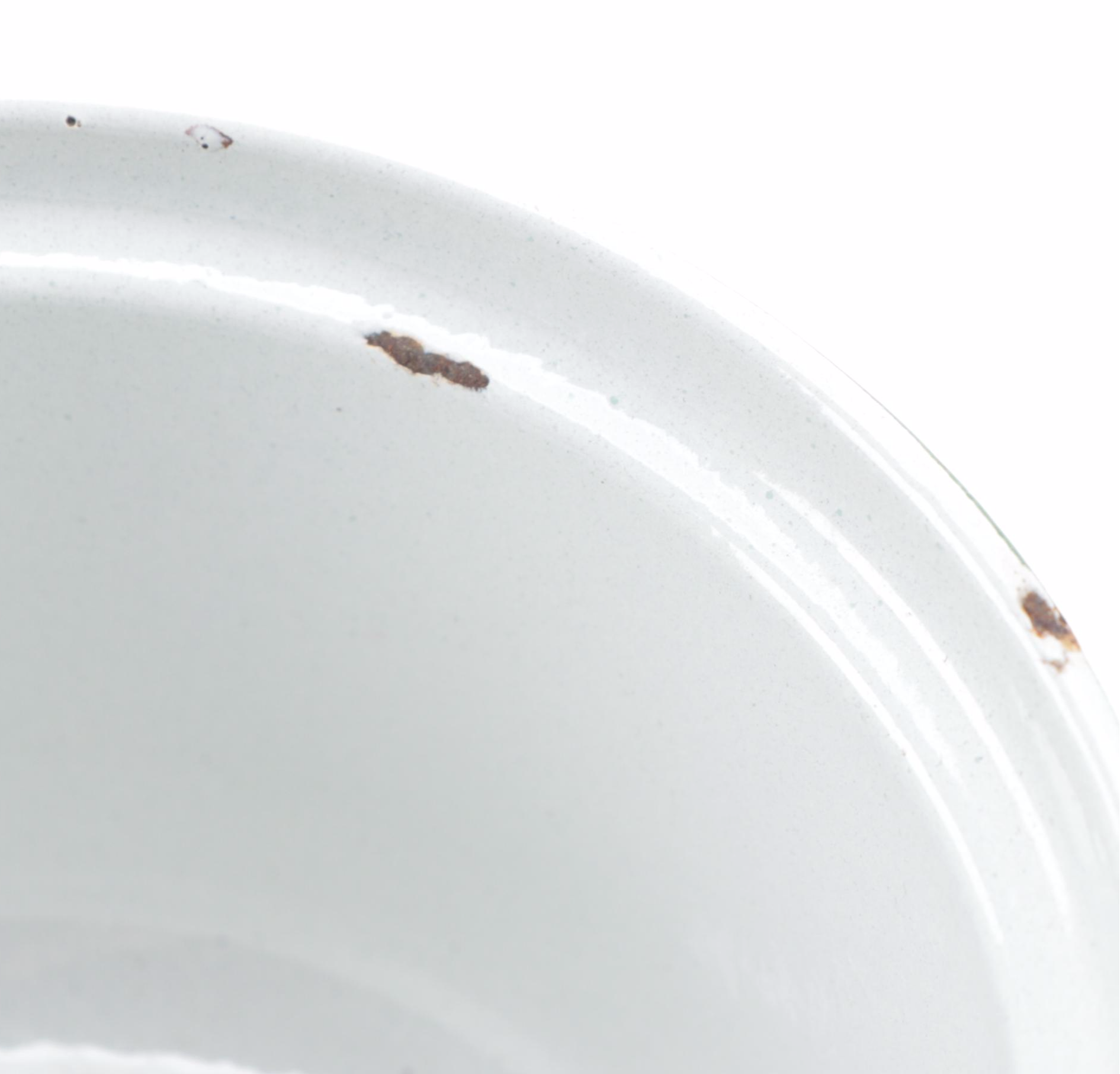 Dru of Holland Tulip Decorated Enameled Cast Iron Bakeware, Mid-20th Century