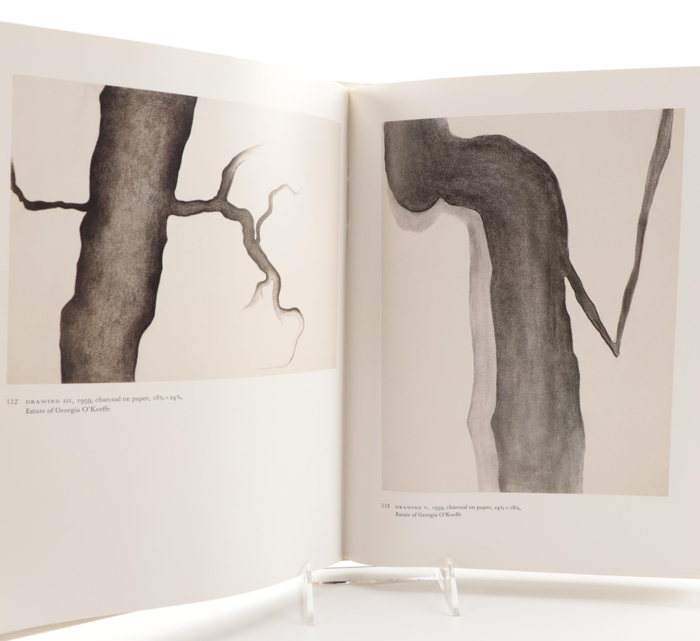 "Georgia O'Keeffe: Art and Letters" and More Art Reference Books