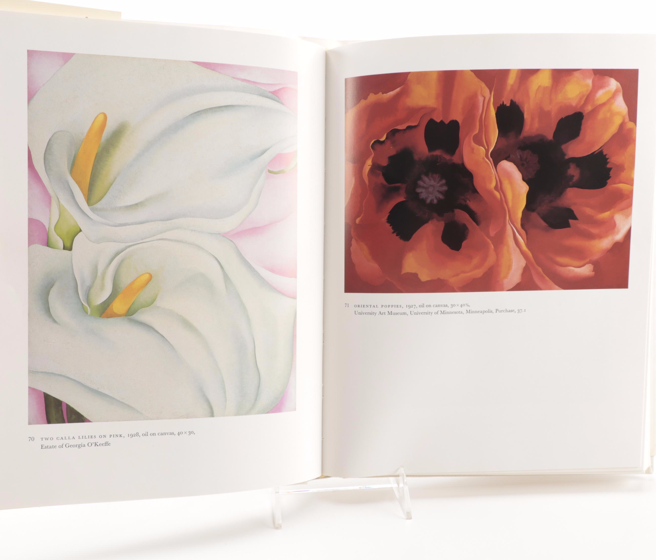 "Georgia O'Keeffe: Art and Letters" and More Art Reference Books