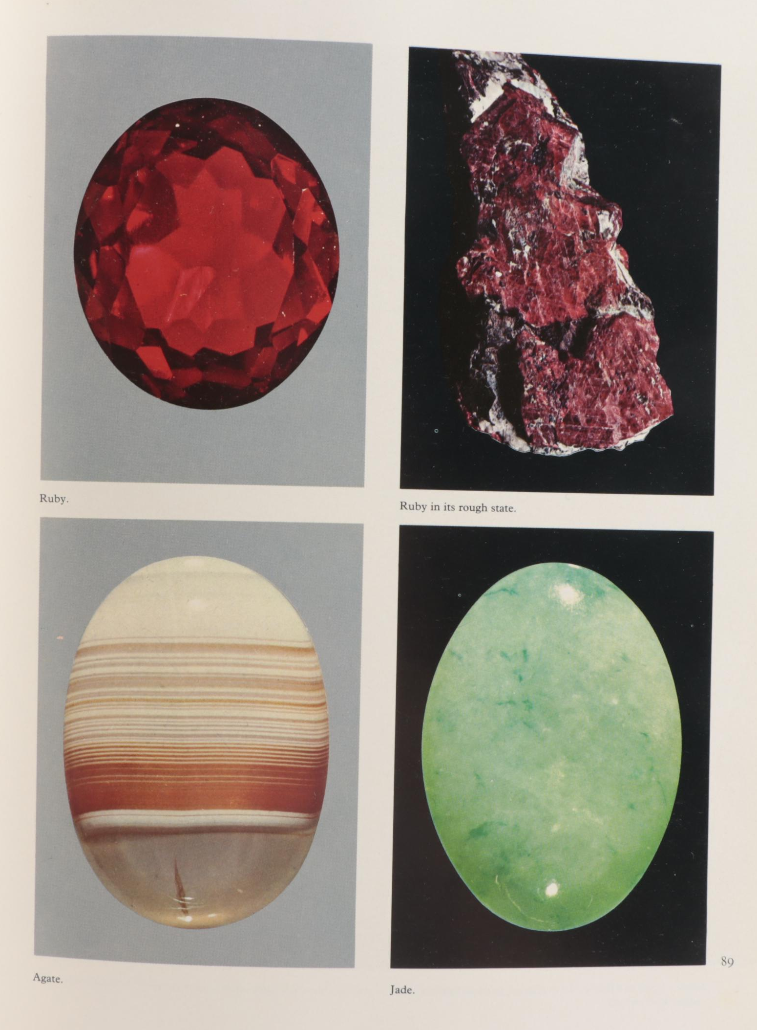 "Georgia O'Keeffe: Art and Letters" and More Art Reference Books