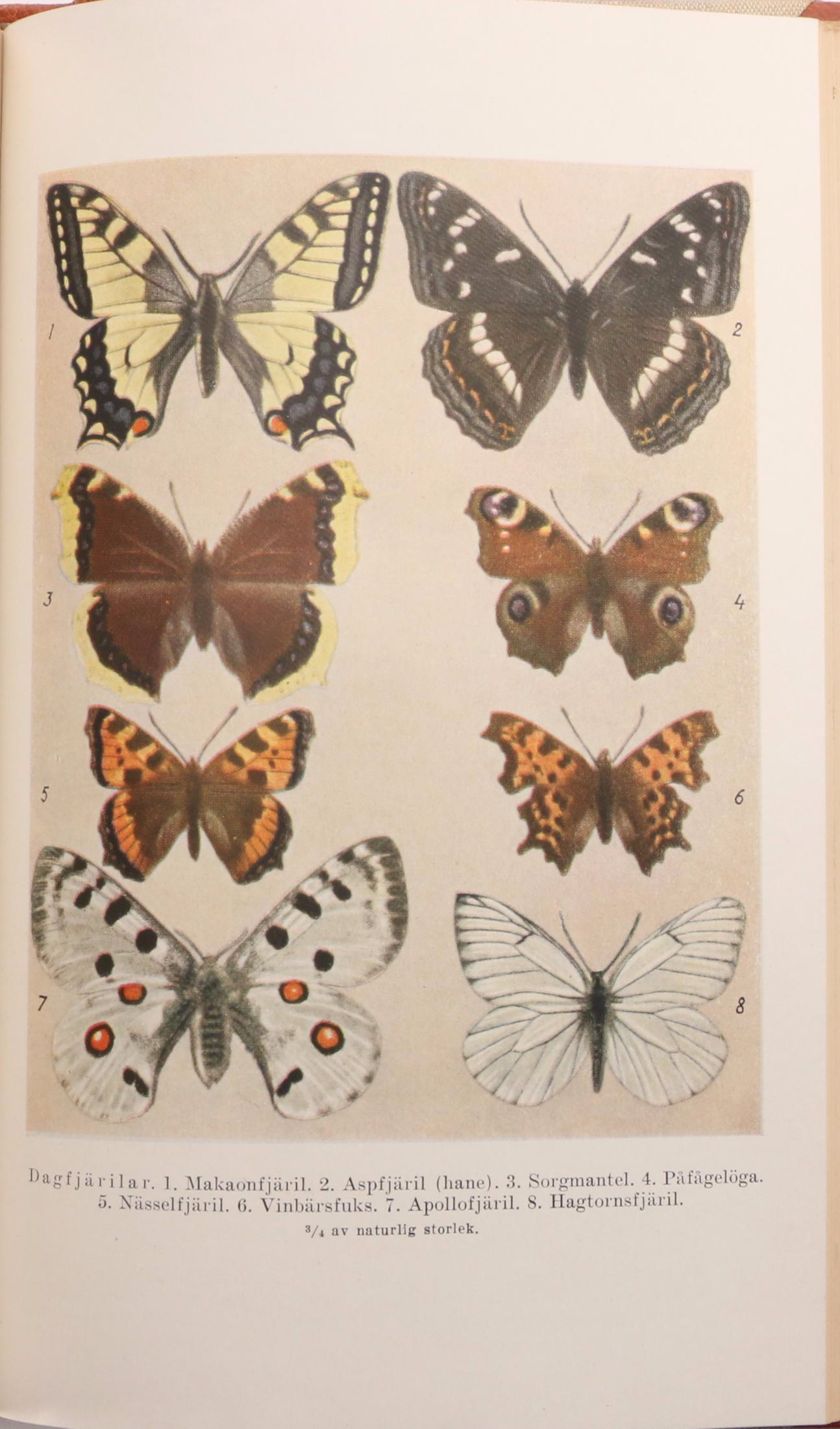 Partial Set Swedish Language "Bonniers Folklexikon", 1951