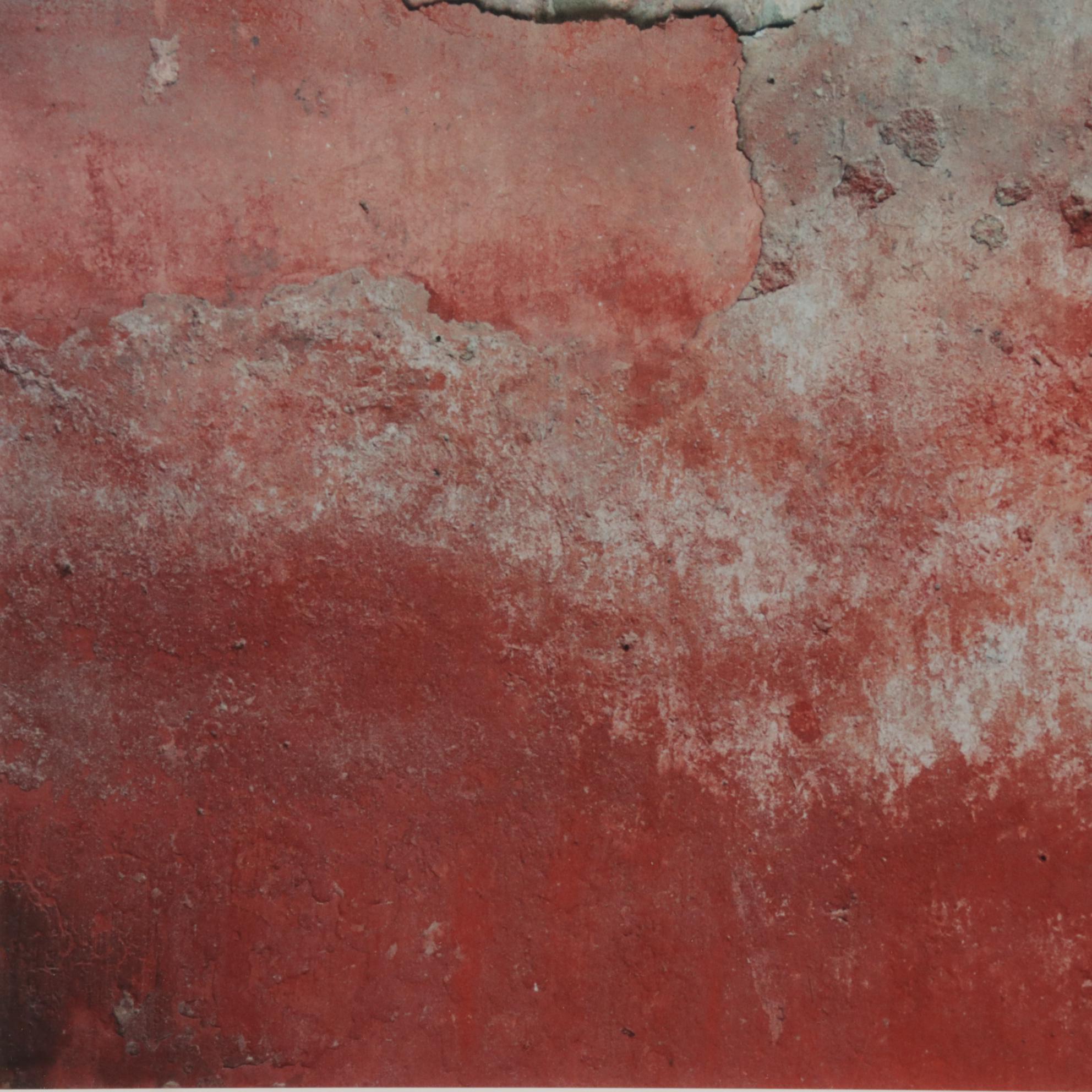 Charles Battaglini Digital Prints "Wall- The Forbidden City," 2003