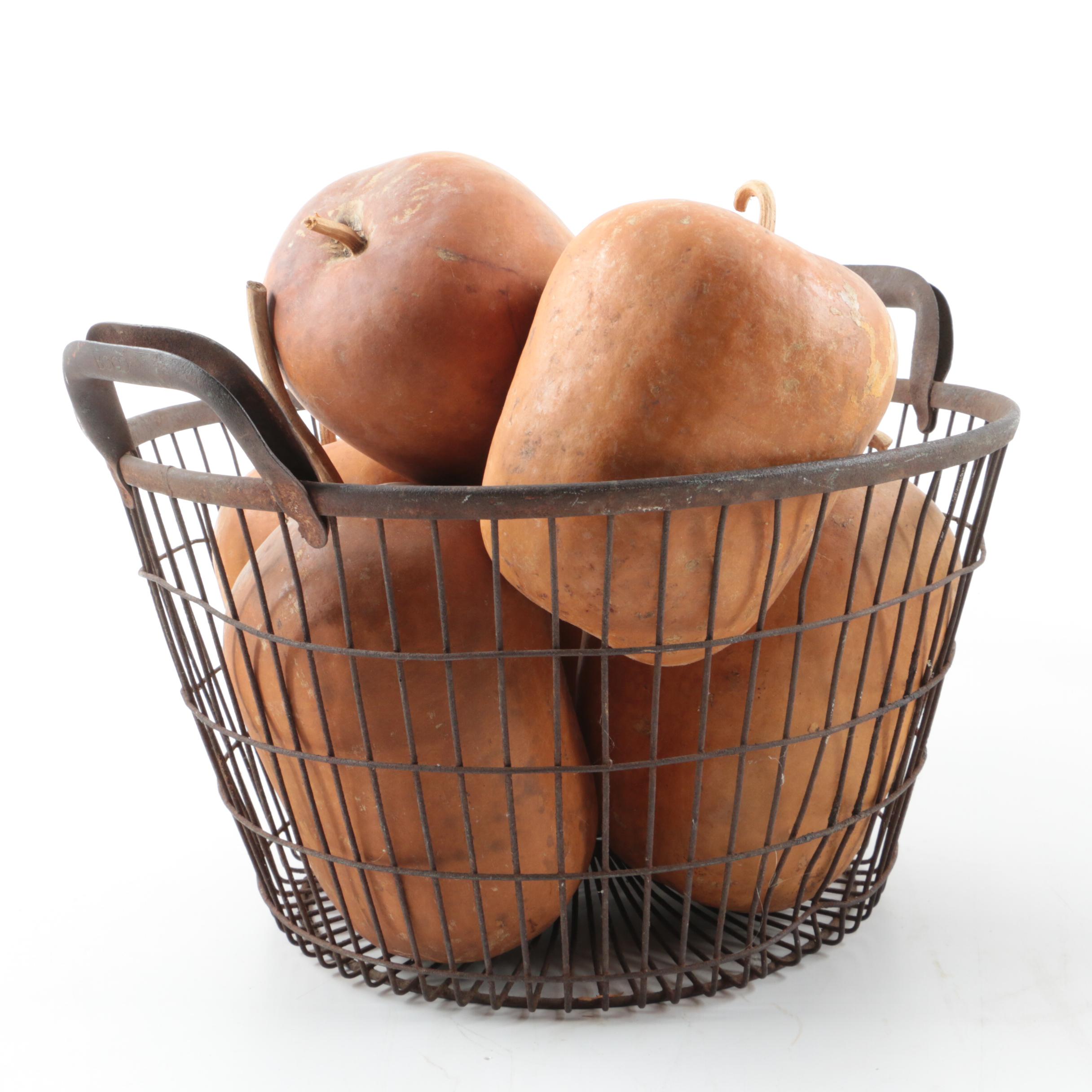 Ragon House Turkey with Concrete Pumpkins and Other Fall Décor