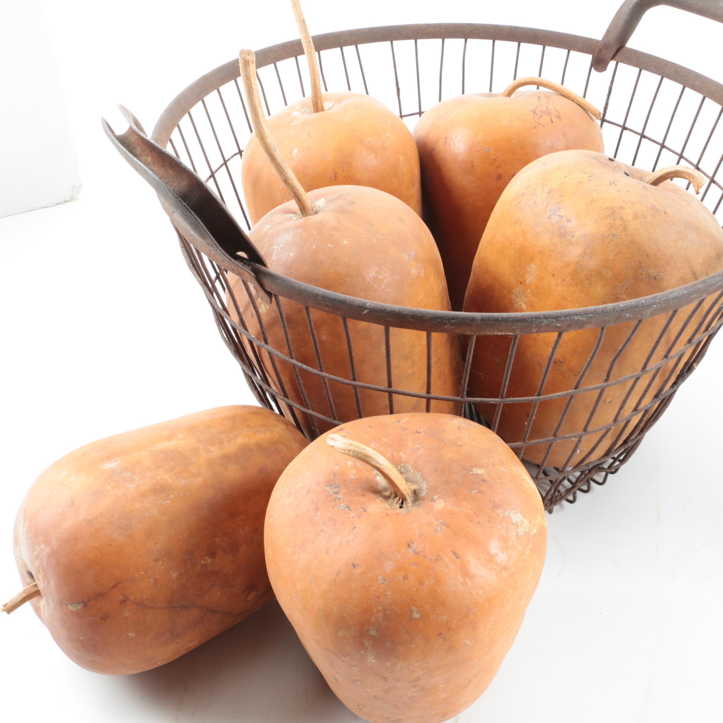 Ragon House Turkey with Concrete Pumpkins and Other Fall Décor