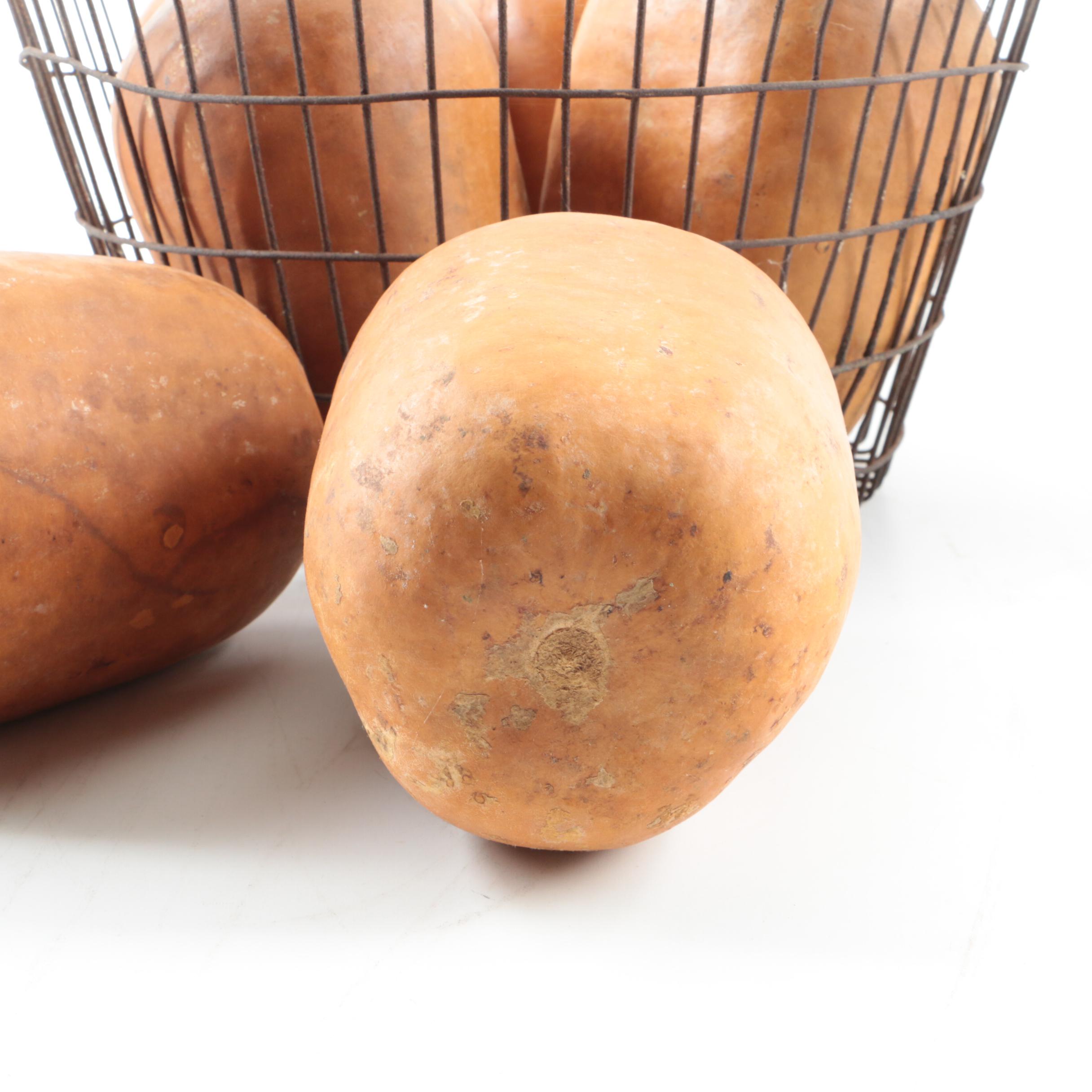 Ragon House Turkey with Concrete Pumpkins and Other Fall Décor