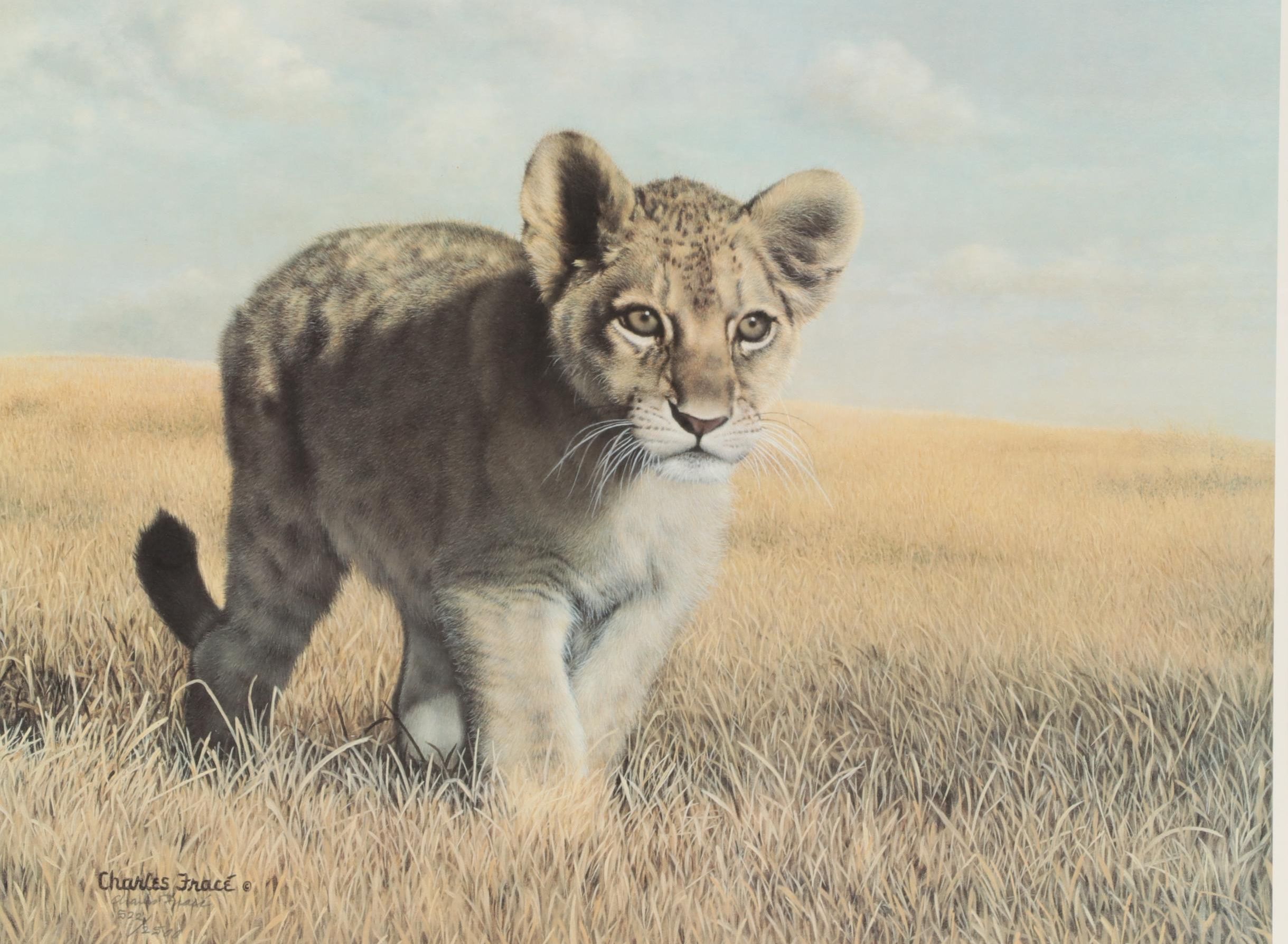 Charles Fracé Offset Lithograph "Young Explorer," Late 20th Century