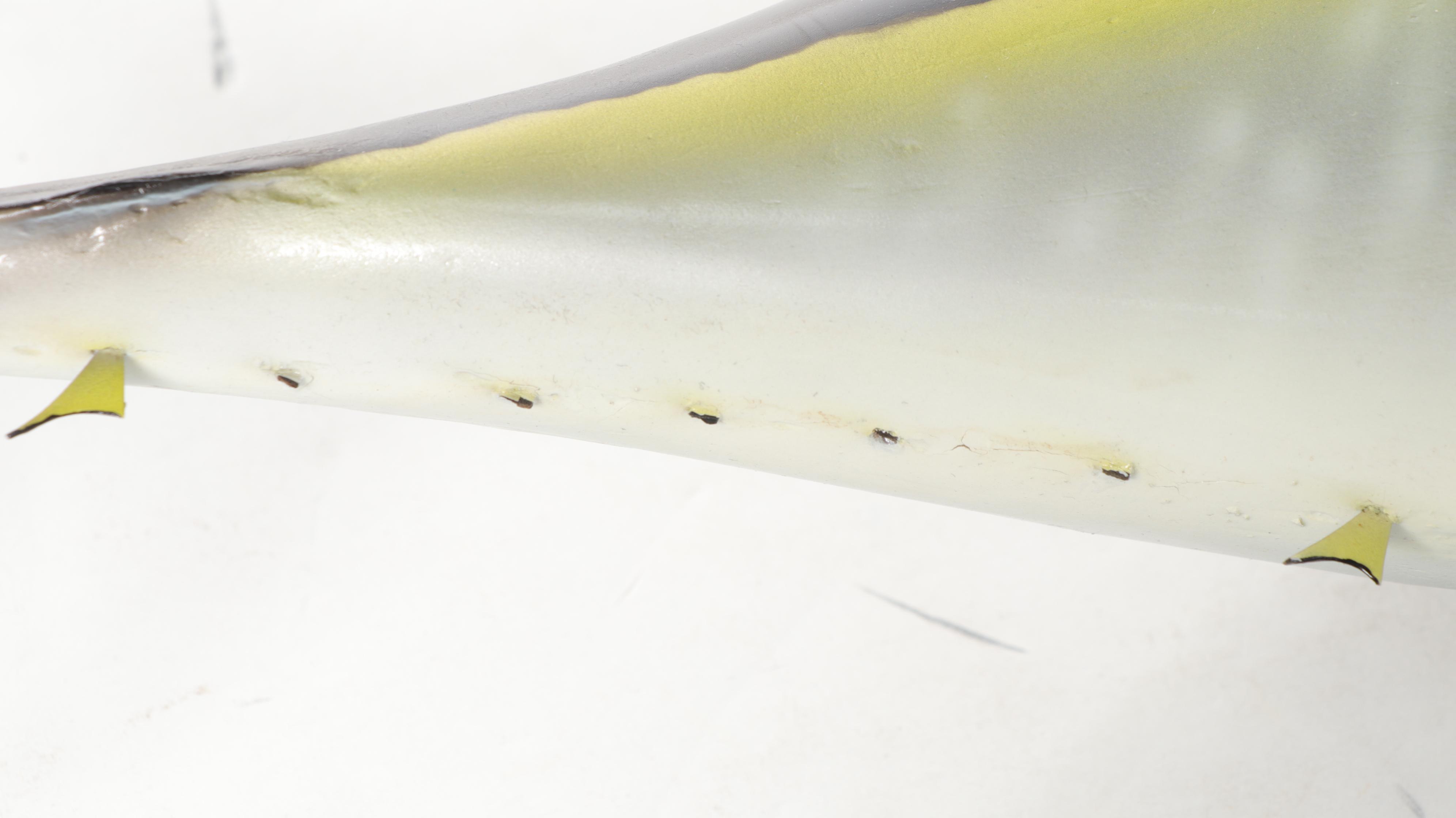 Taxidermy Yellowfin Tuna Full Body Mount