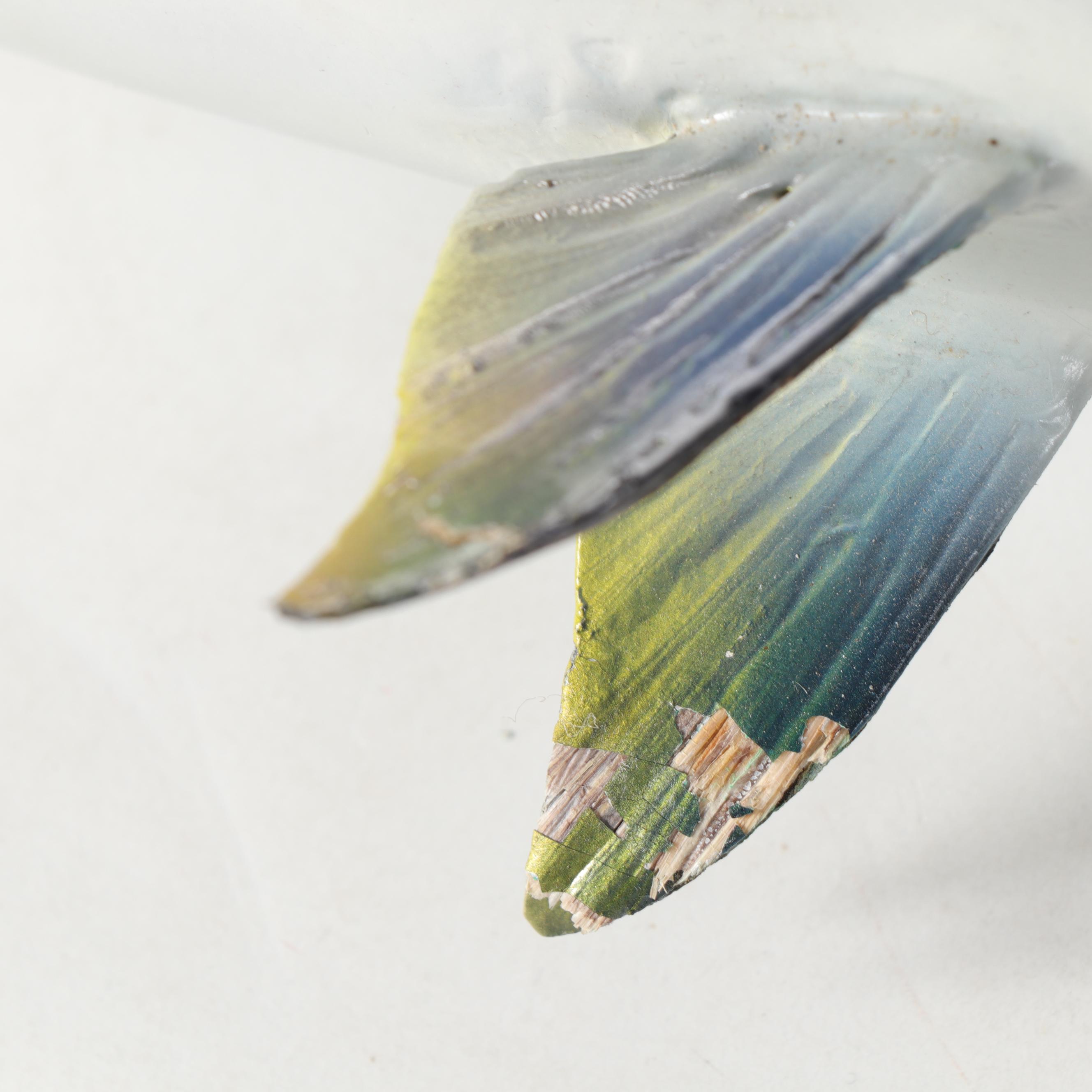 Taxidermy Yellowfin Tuna Full Body Mount