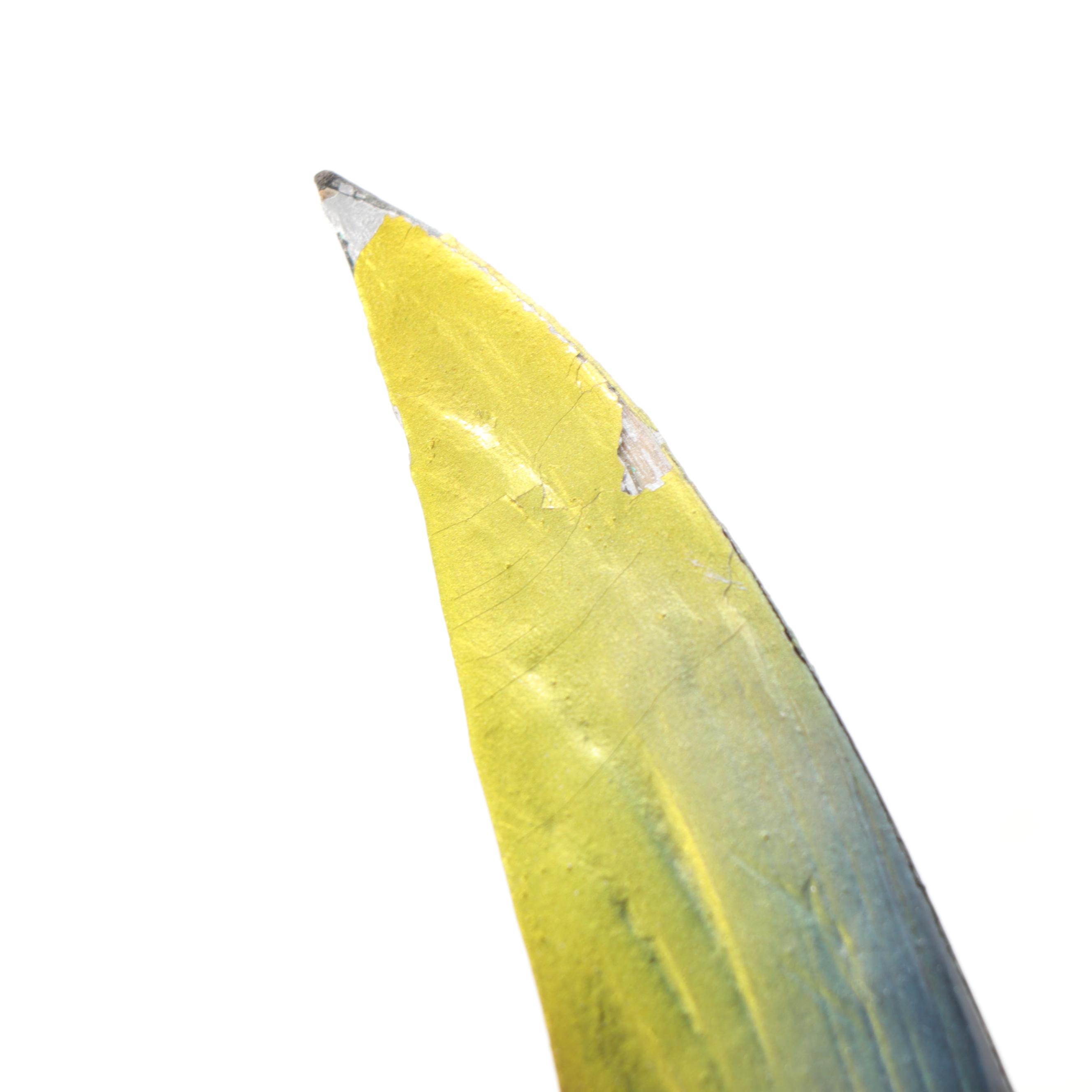 Taxidermy Yellowfin Tuna Full Body Mount