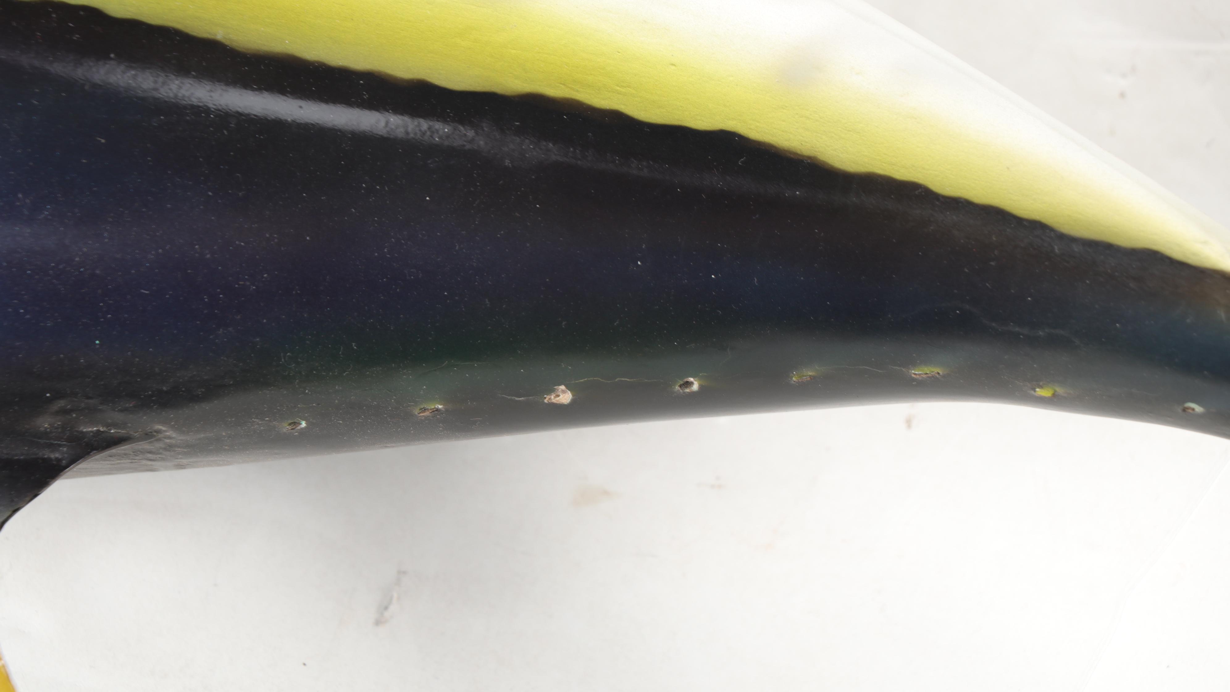 Taxidermy Yellowfin Tuna Full Body Mount