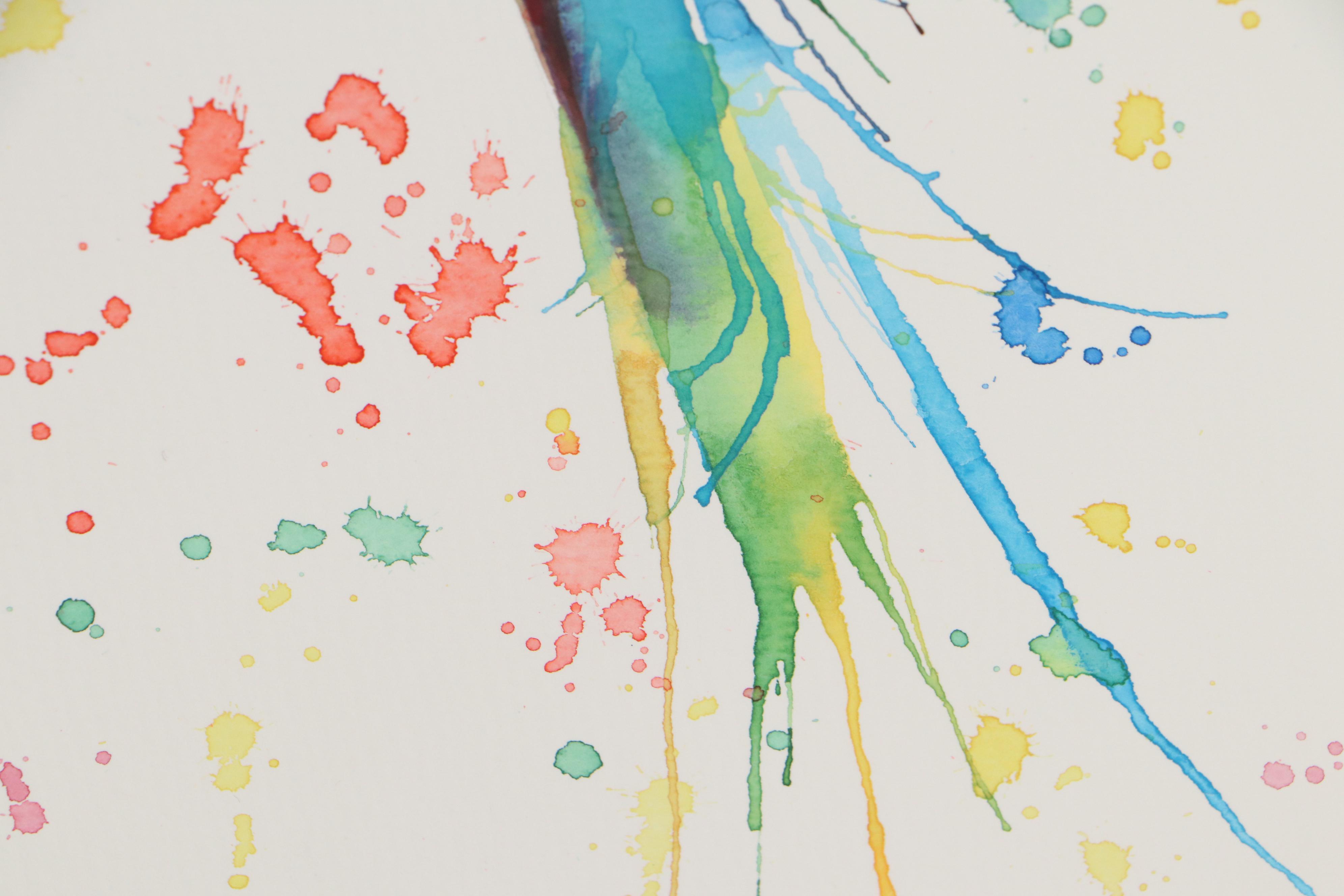 Anne Gorywine Watercolor Painting of Parrot