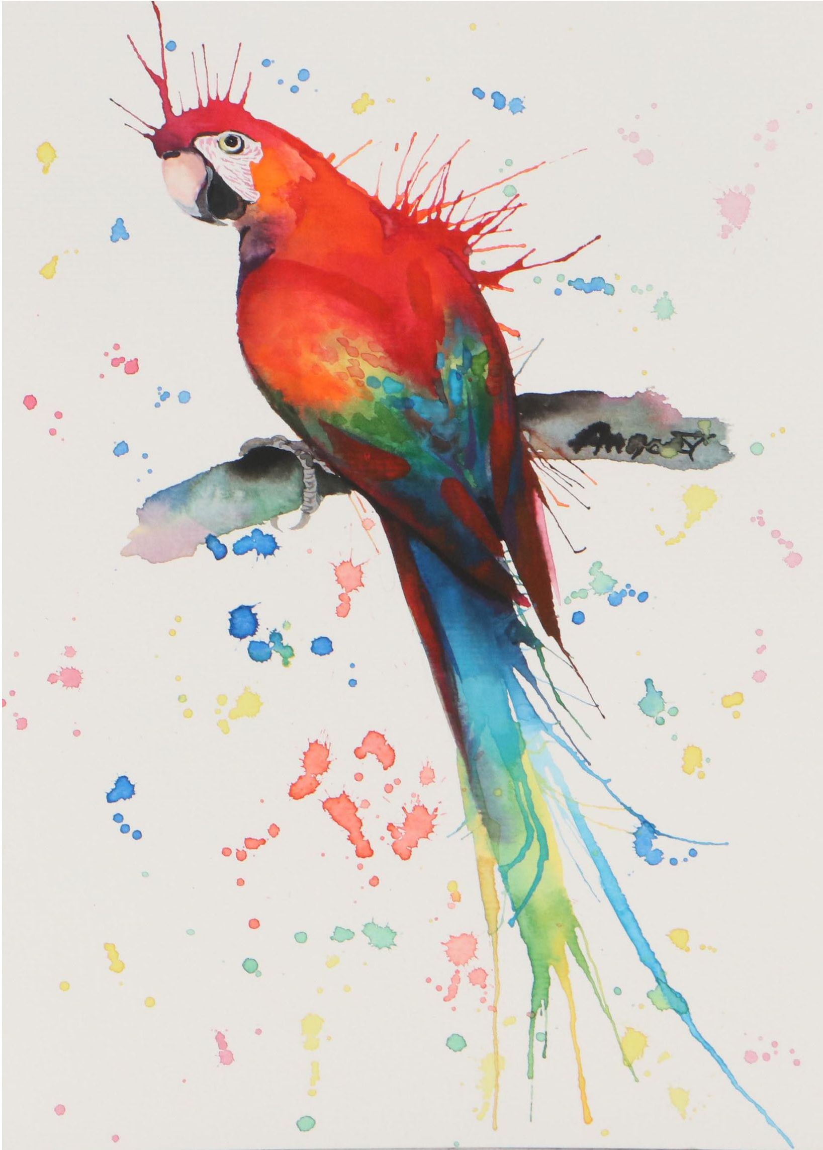 Anne Gorywine Watercolor Painting of Parrot