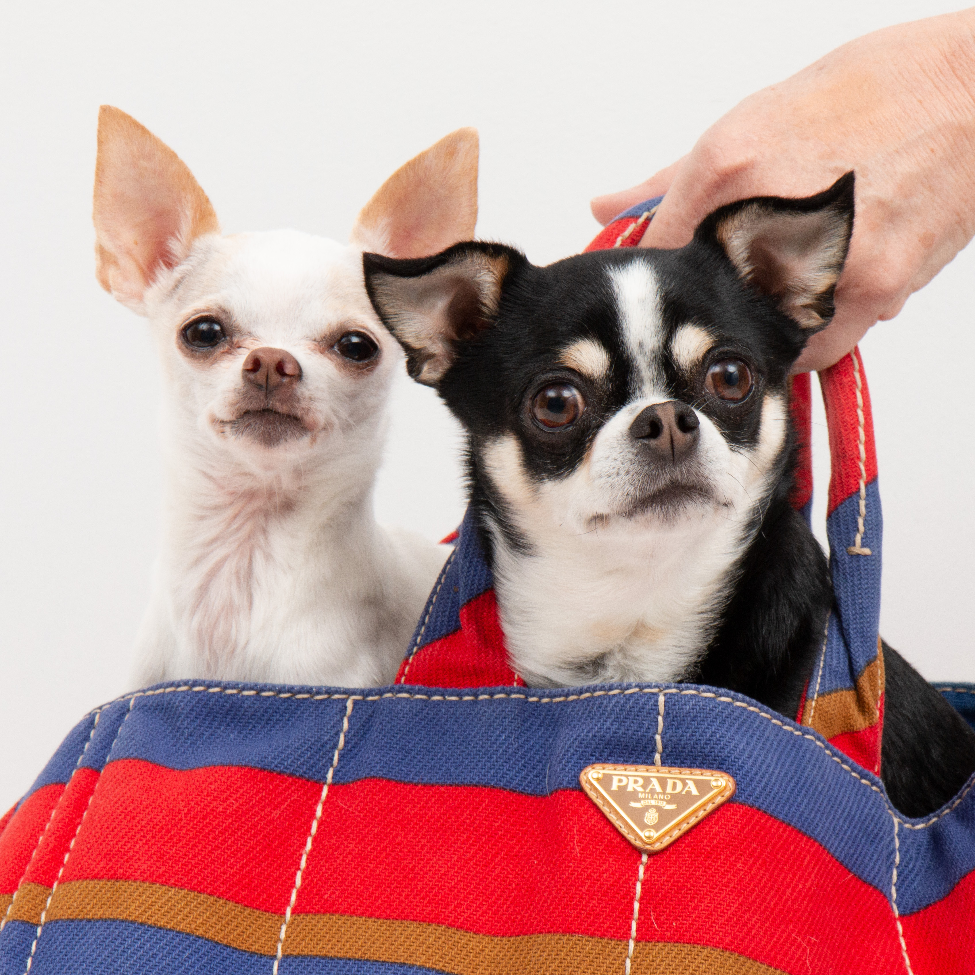 Prada Striped Canvas Tote Bag