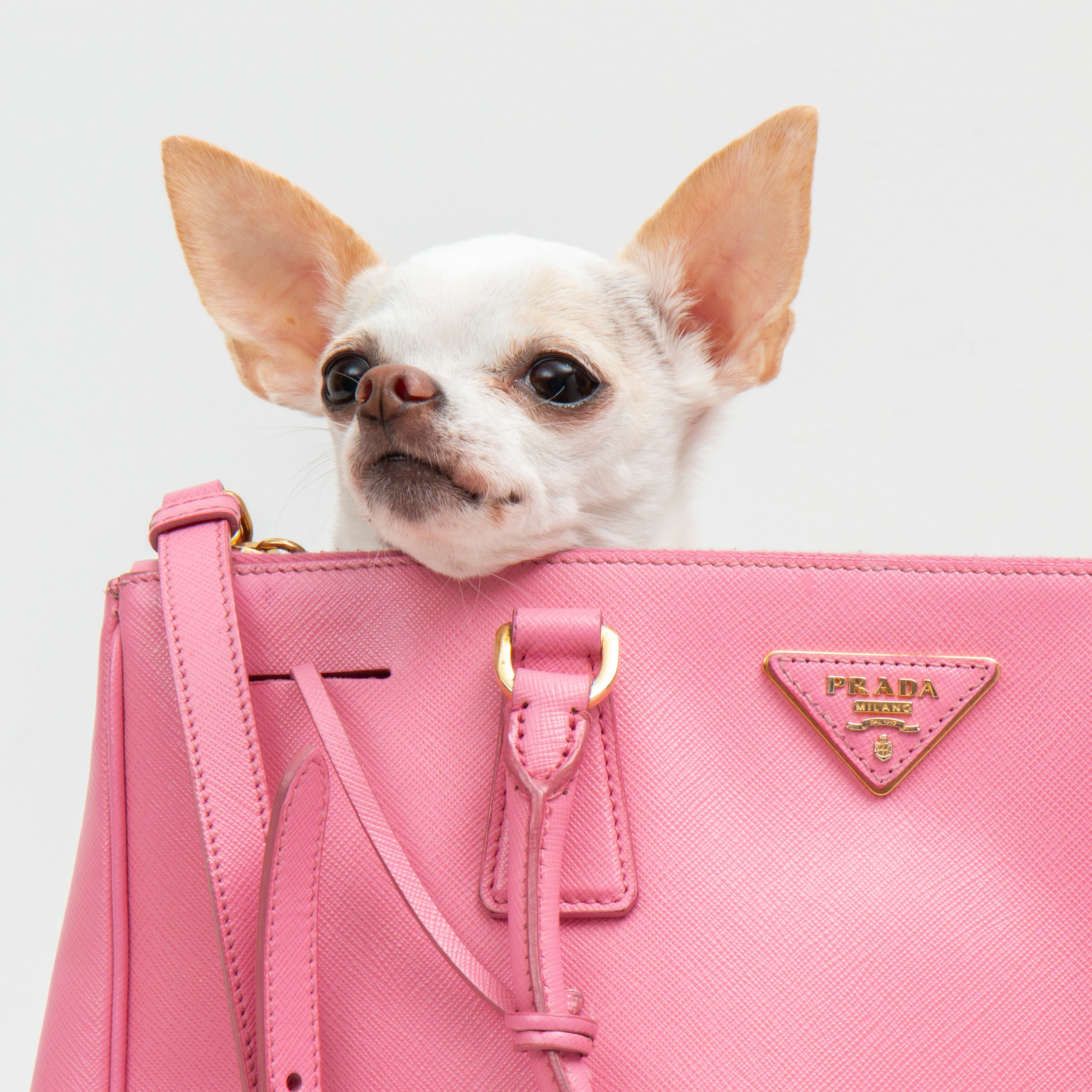 Prada Gardener Double Zip Medium Tote in Pink Saffiano Lux Leather