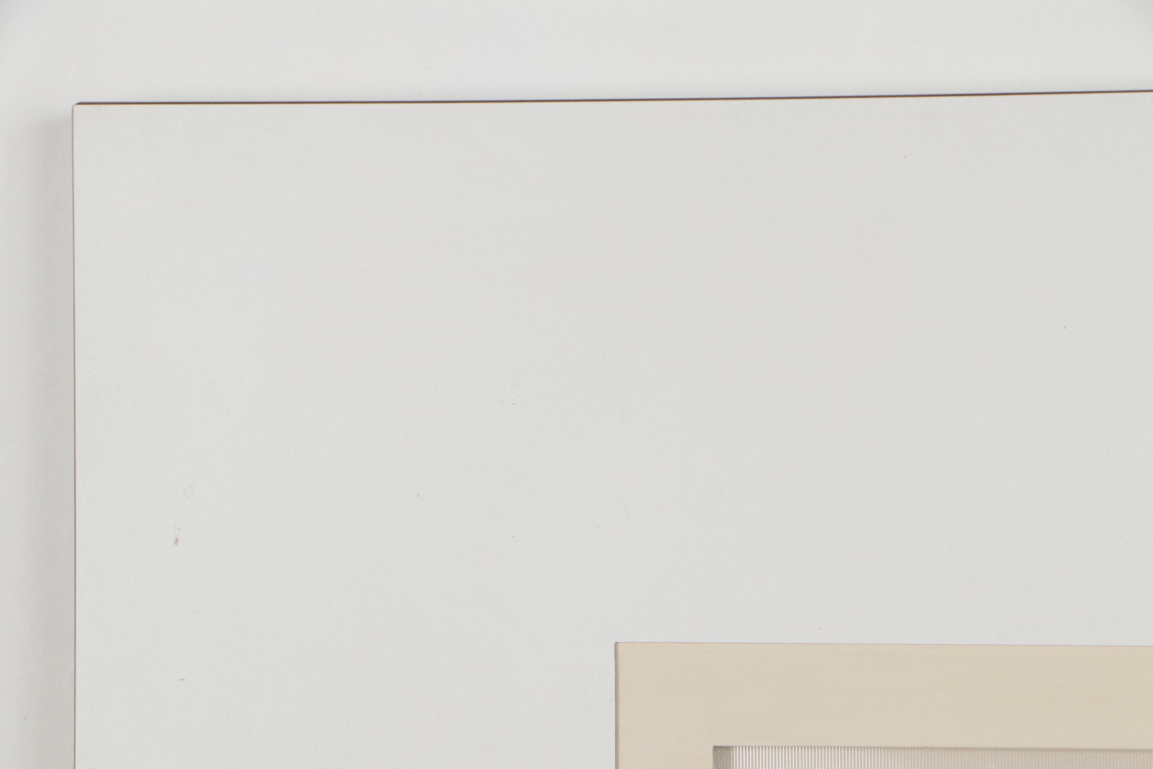 Yaacov Agam Agamograph "Double Metamorphosis"