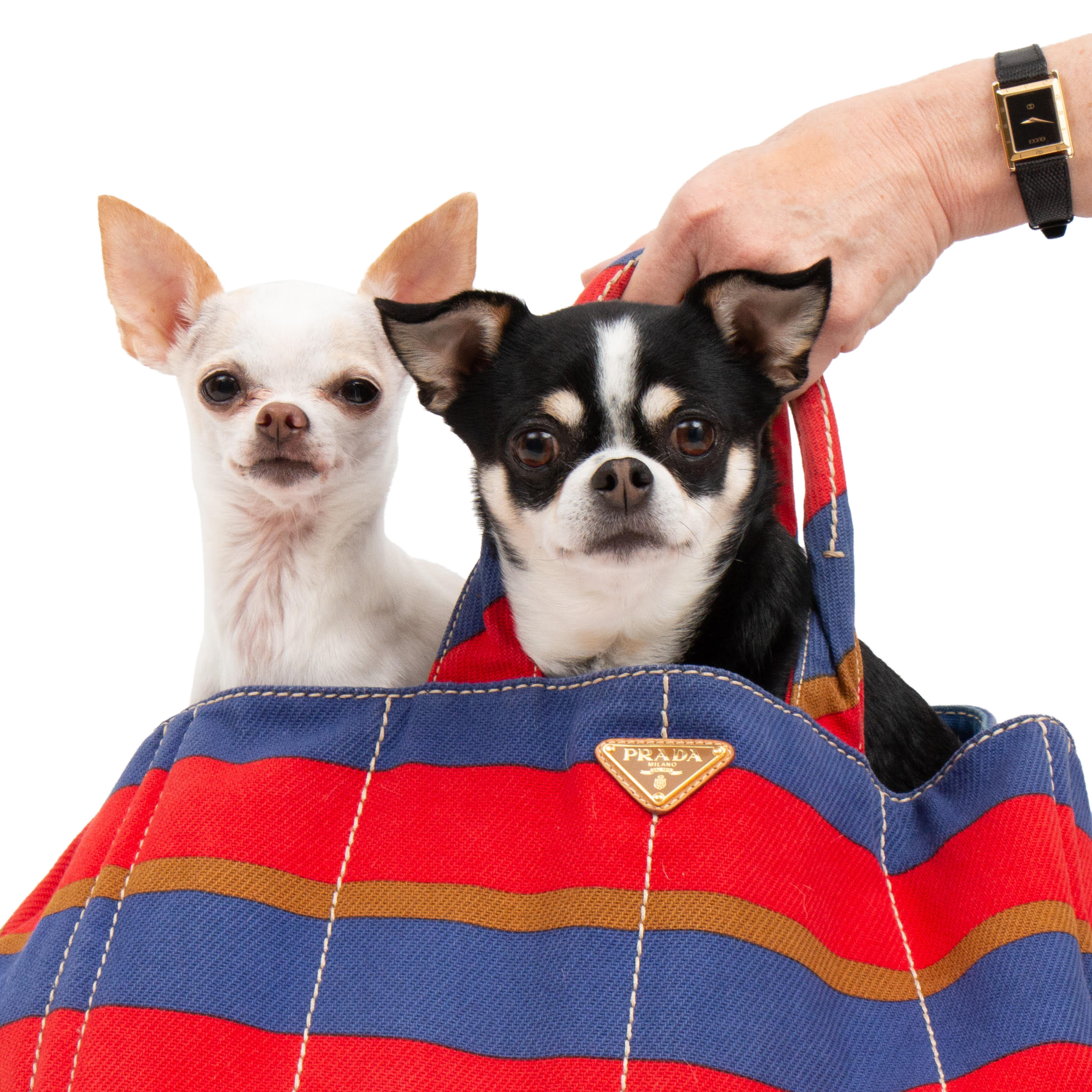 Prada Striped Canvas Tote Bag