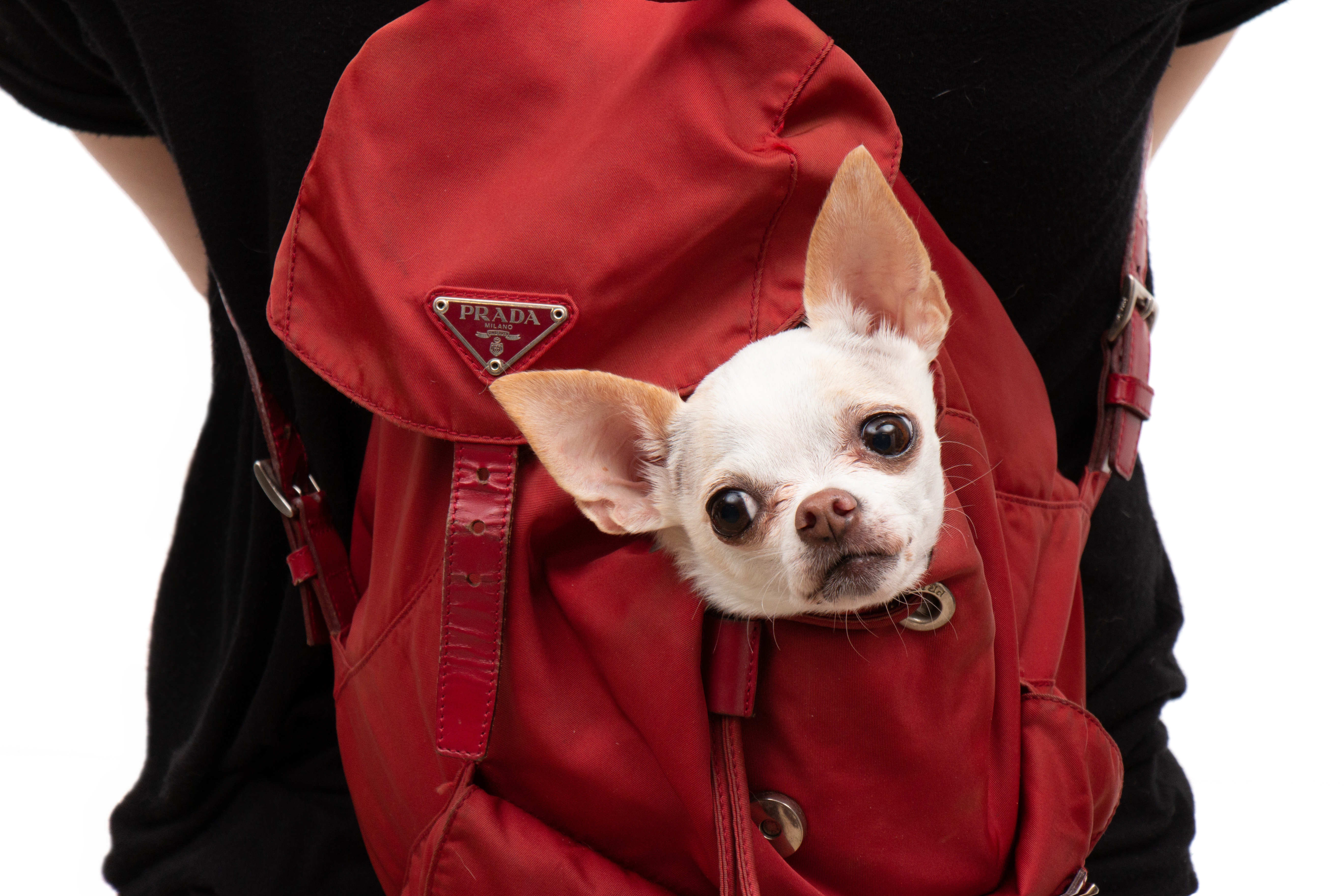 Prada Drawstring Backpack in Red Tessuto Nylon with Leather Trim