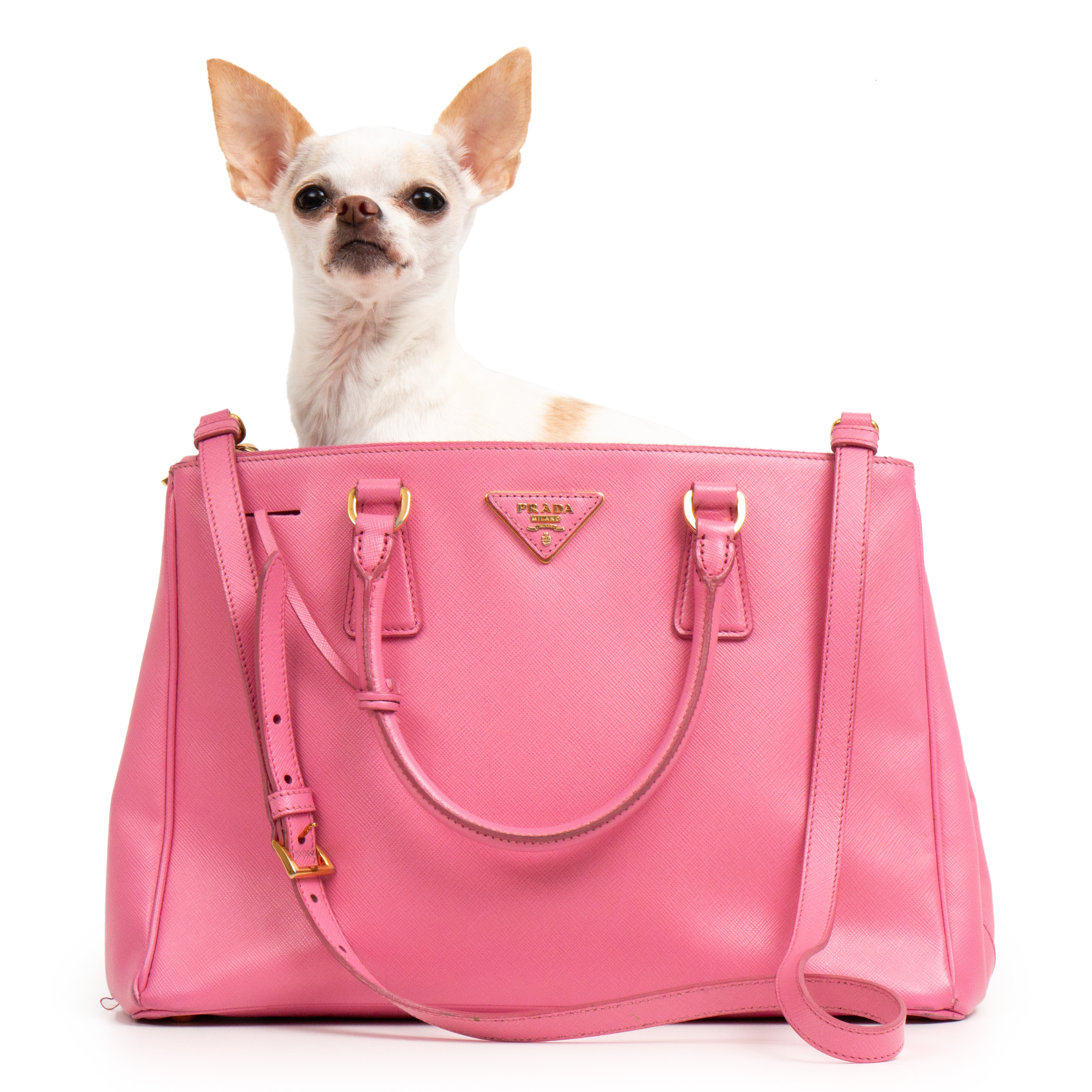 Prada Gardener Double Zip Medium Tote in Pink Saffiano Lux Leather