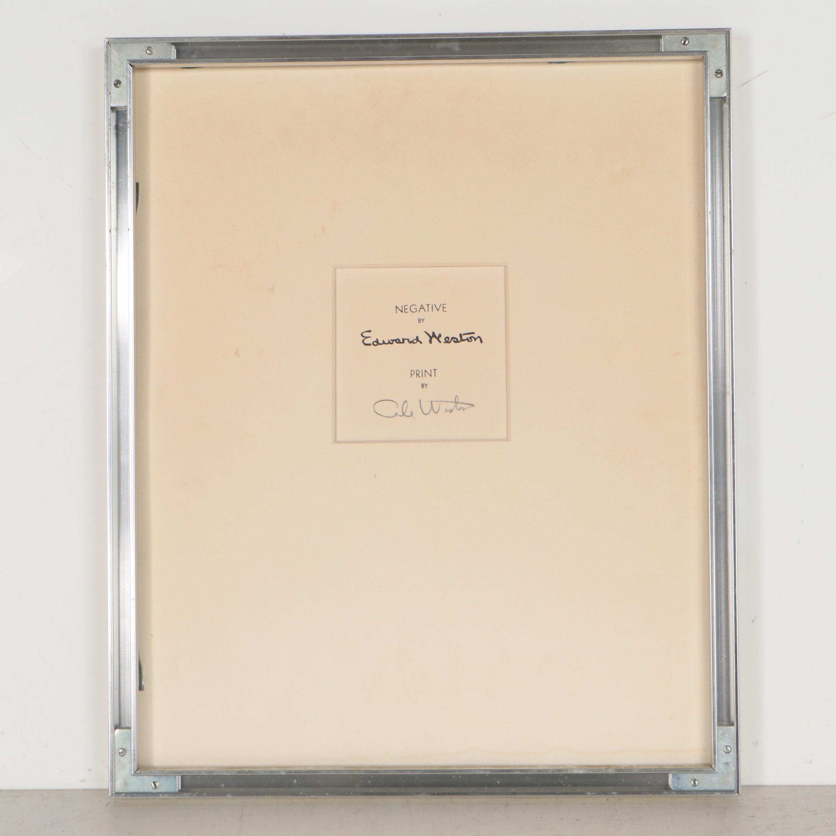 Edward Weston Silver Gelatin Photograph "Pepper (No. 30)"