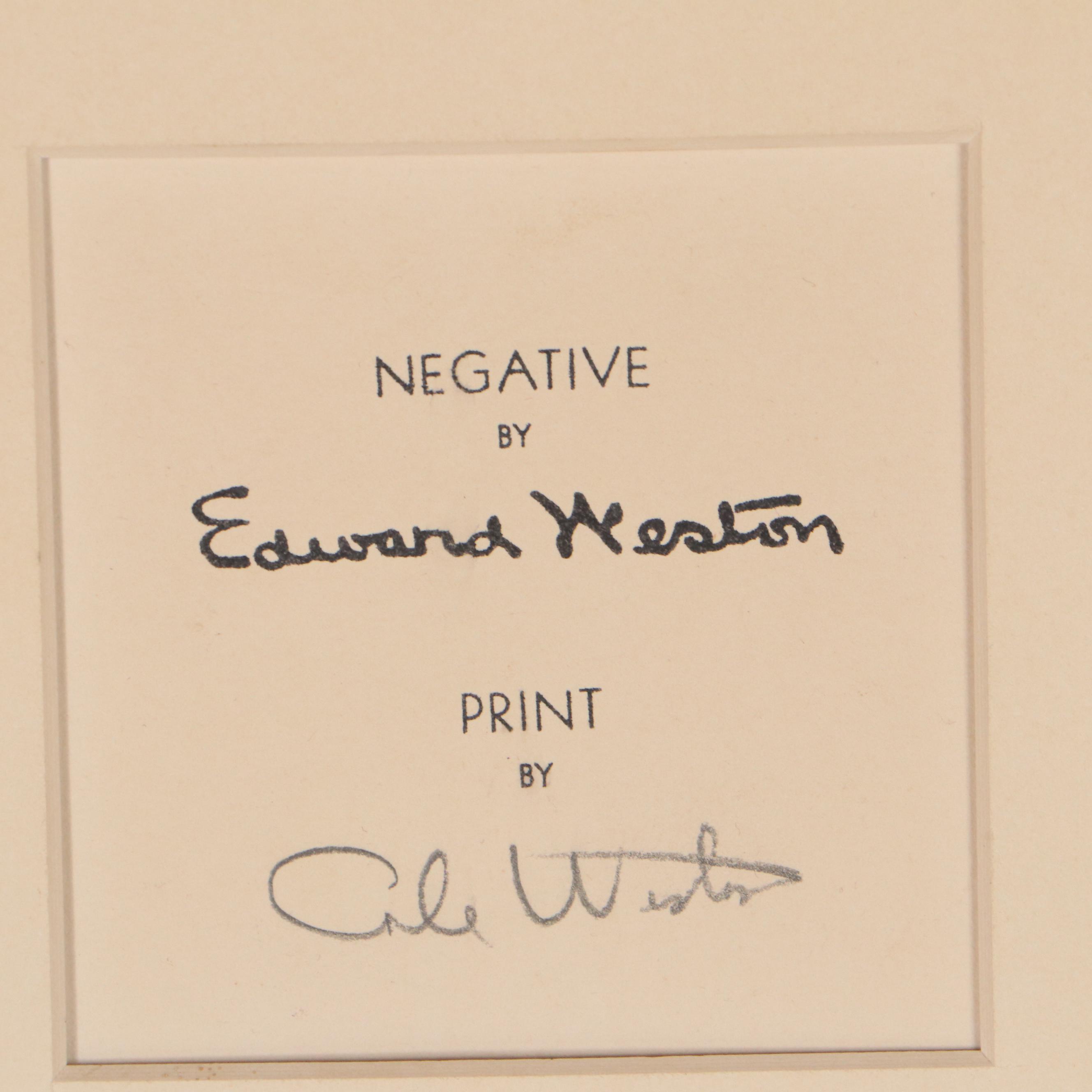 Edward Weston Silver Gelatin Photograph "Pepper (No. 30)"