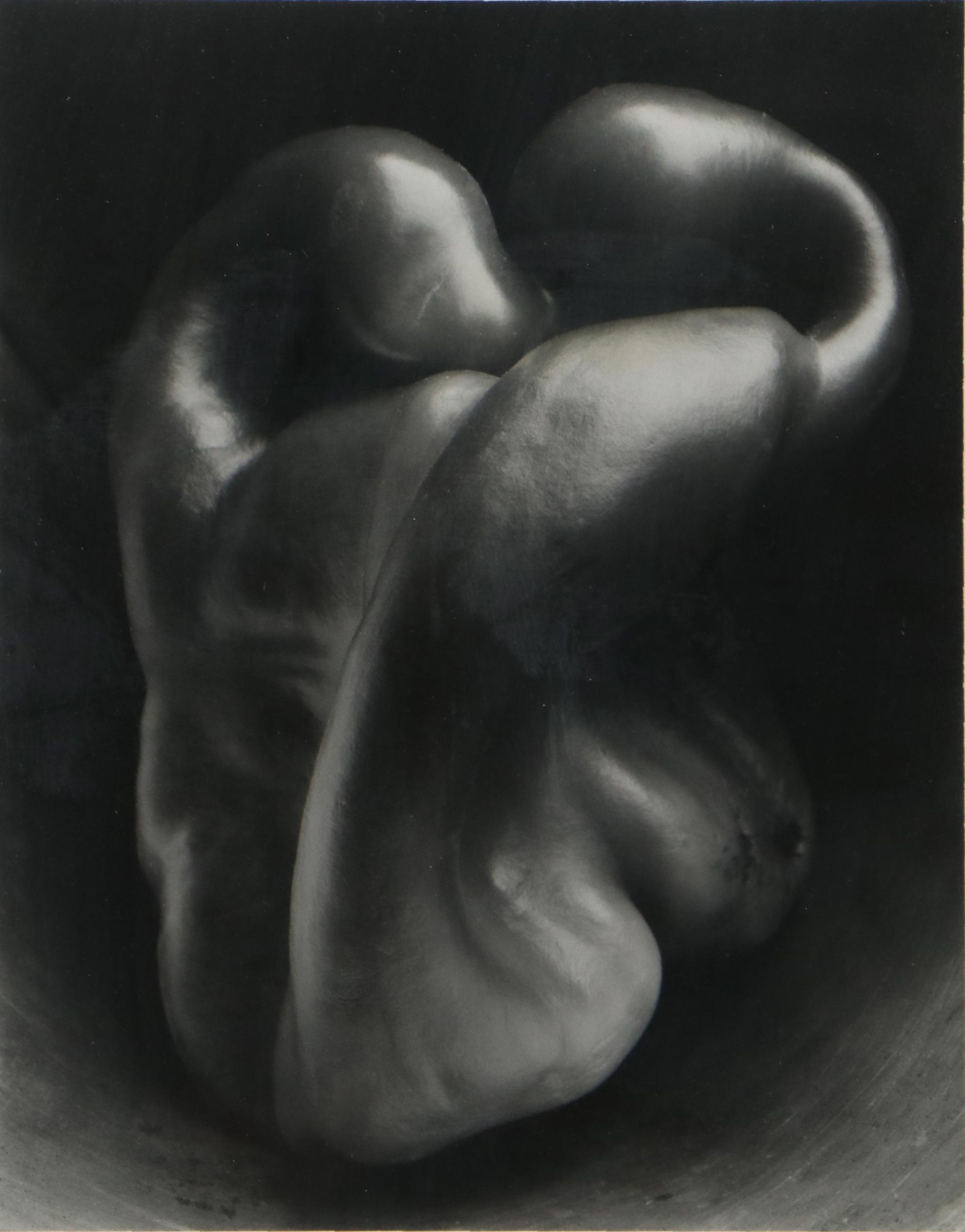 Edward Weston Silver Gelatin Photograph "Pepper (No. 30)"