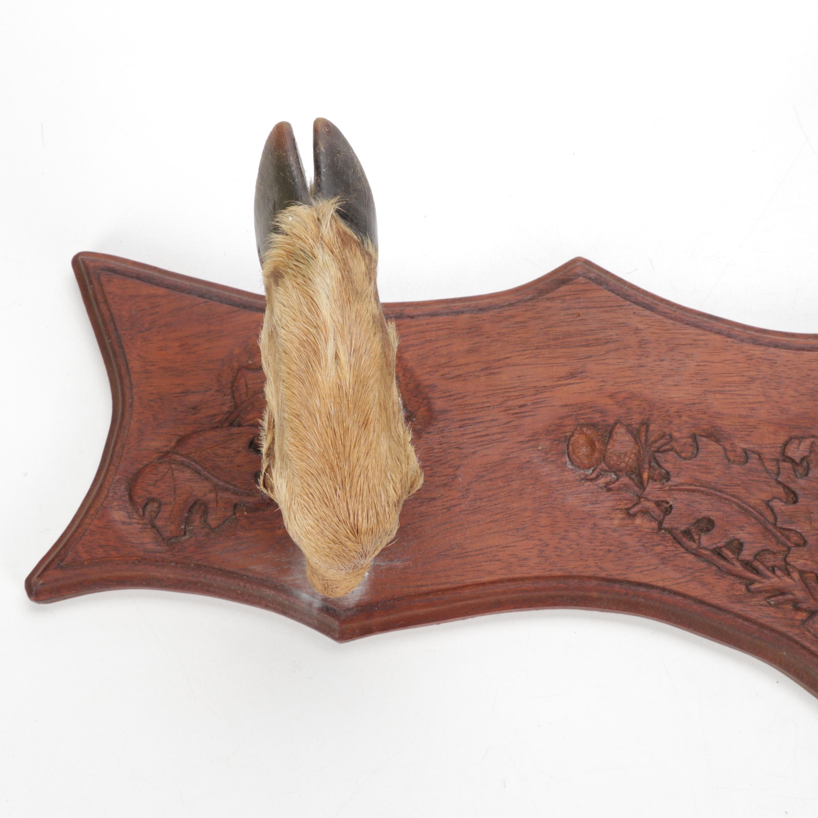 Deer Trophy Mount with Hooves Gun Rack on Carved Walnut Plaque, 1966