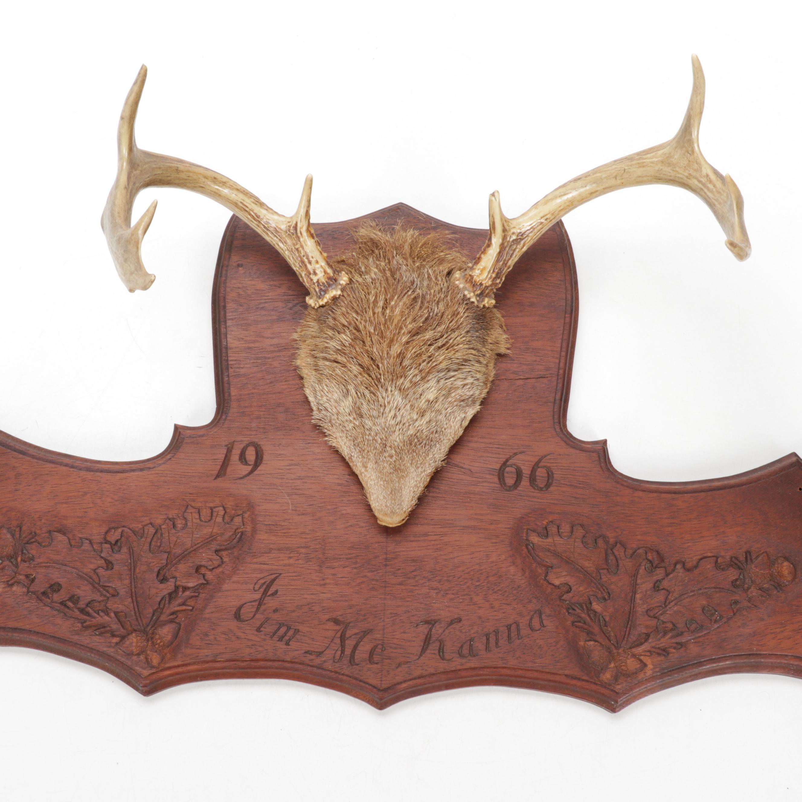 Deer Trophy Mount with Hooves Gun Rack on Carved Walnut Plaque, 1966