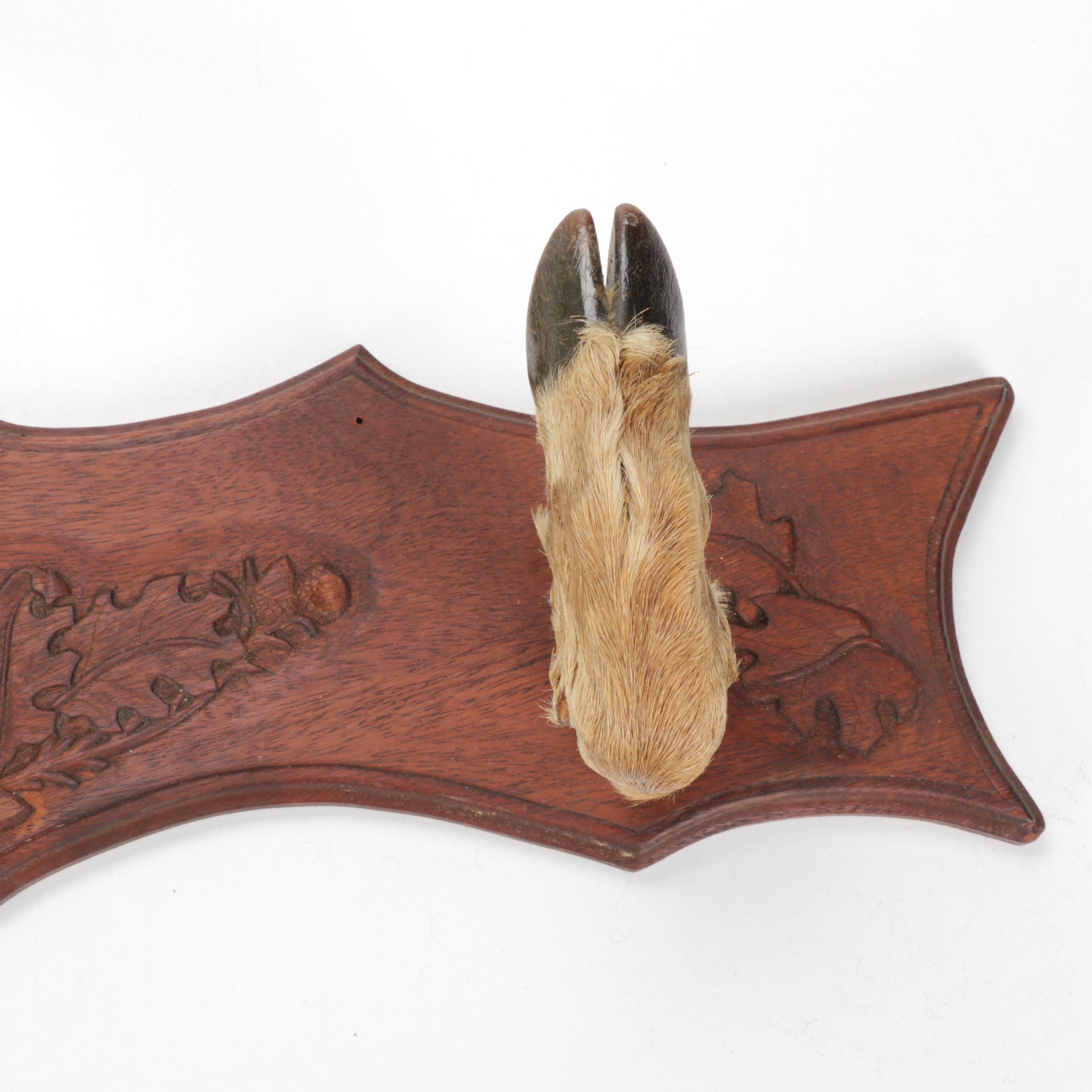 Deer Trophy Mount with Hooves Gun Rack on Carved Walnut Plaque, 1966