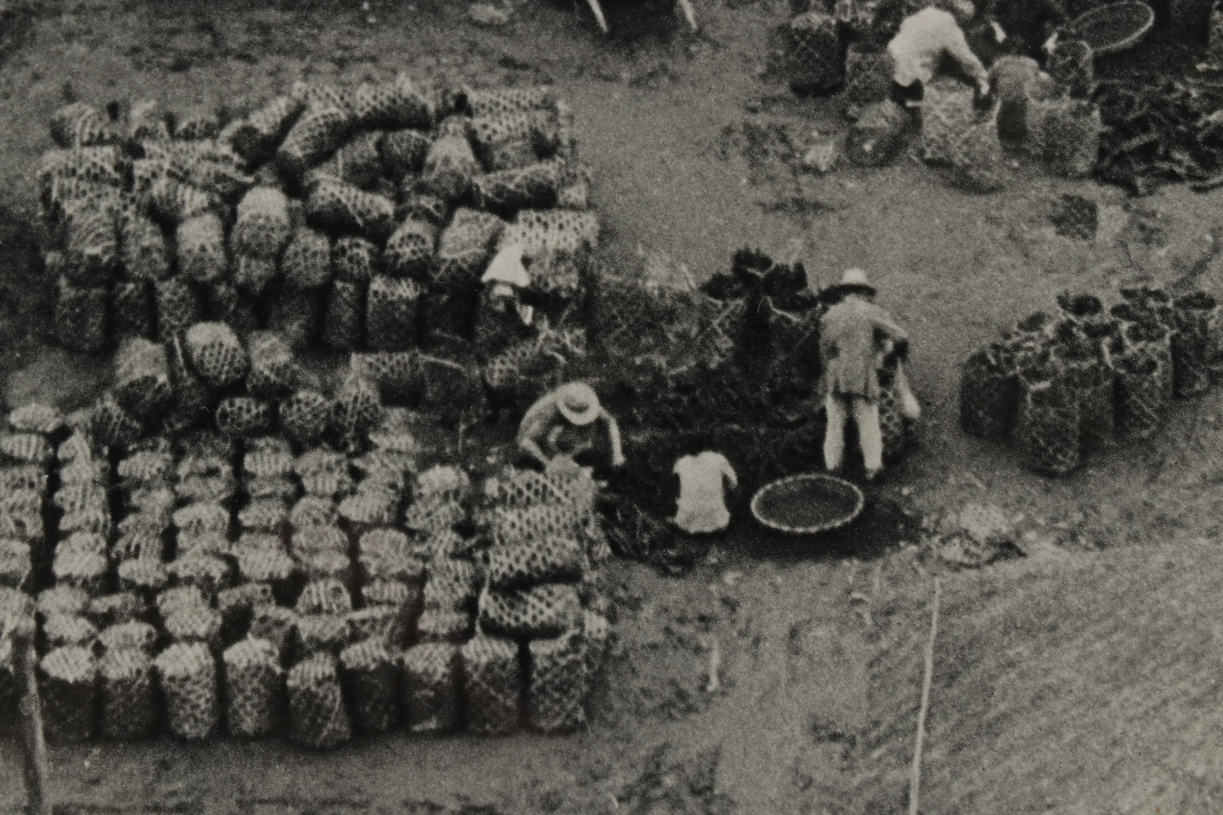 Henri Cartier-Bresson Yangtze River Rotogravure From "The Decisive Moment," 1952