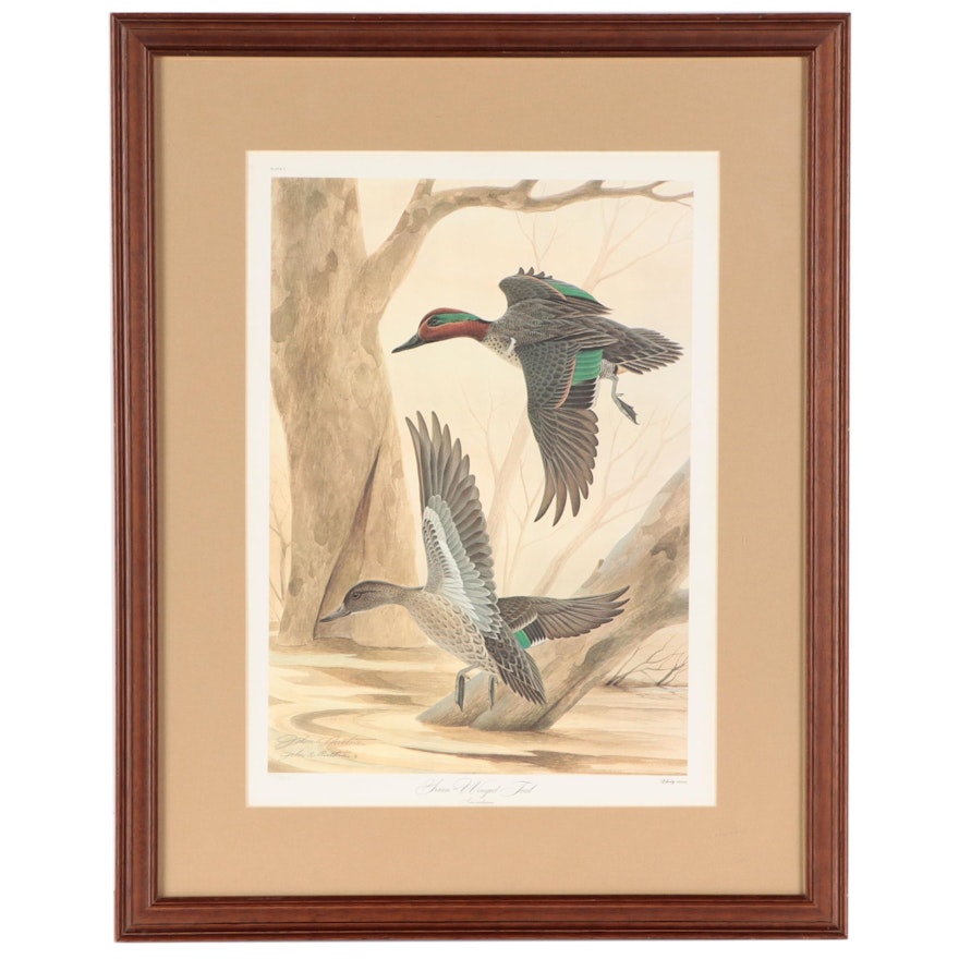 John Ruthven Offset Lithograph "Green-Winged Teal"