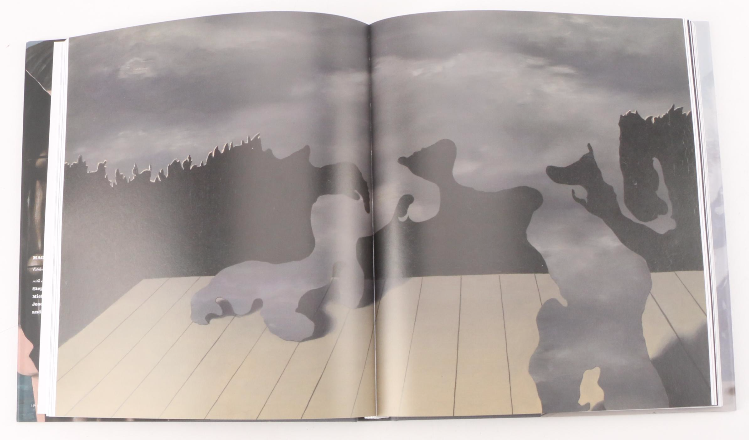 "Magritte: The Mystery of the Ordinary" by Anne Umland and More Art Books